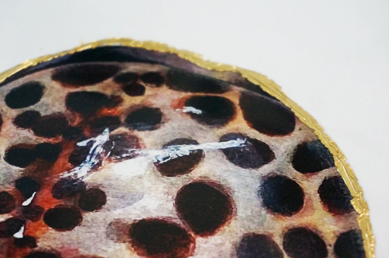 Tiger Cowrie_print_2.jpg