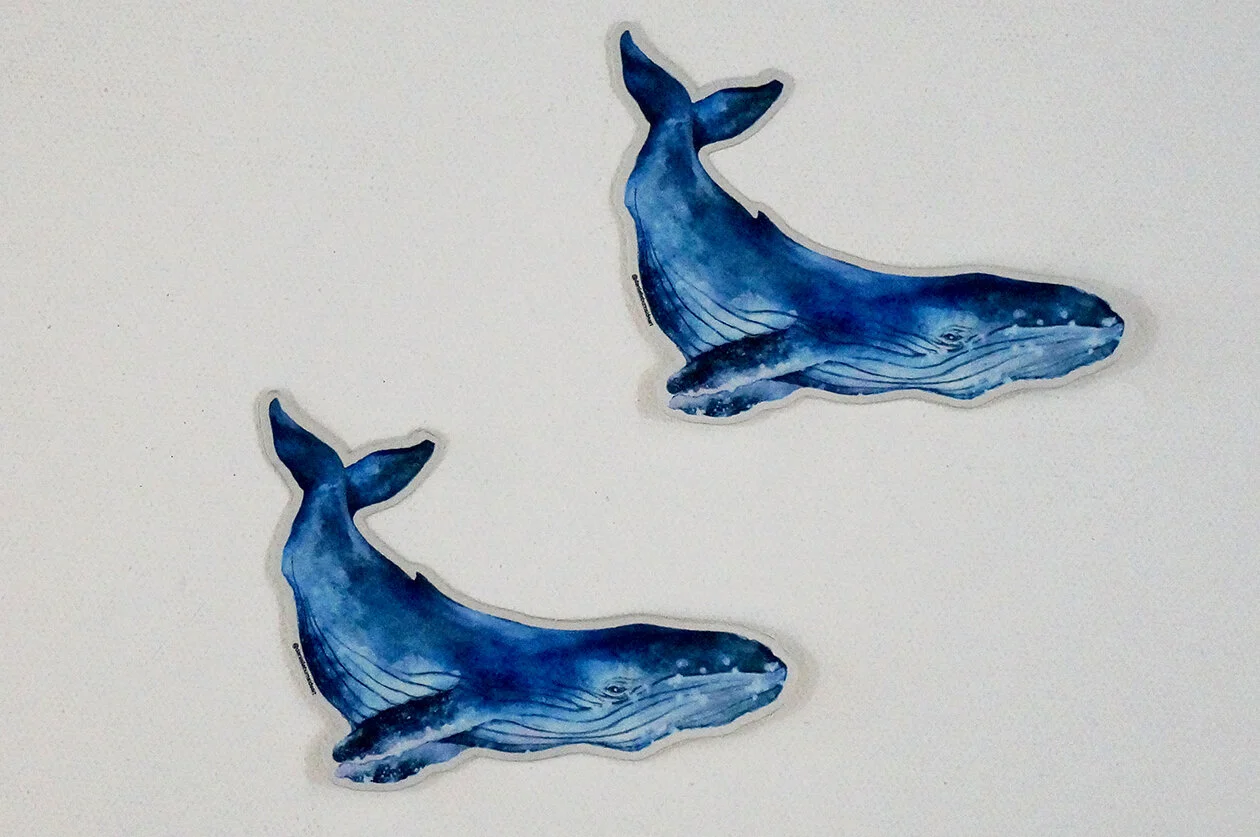 DB_Whale stickers.jpg