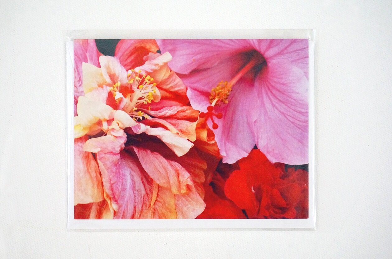 Hibiscus_1.jpg