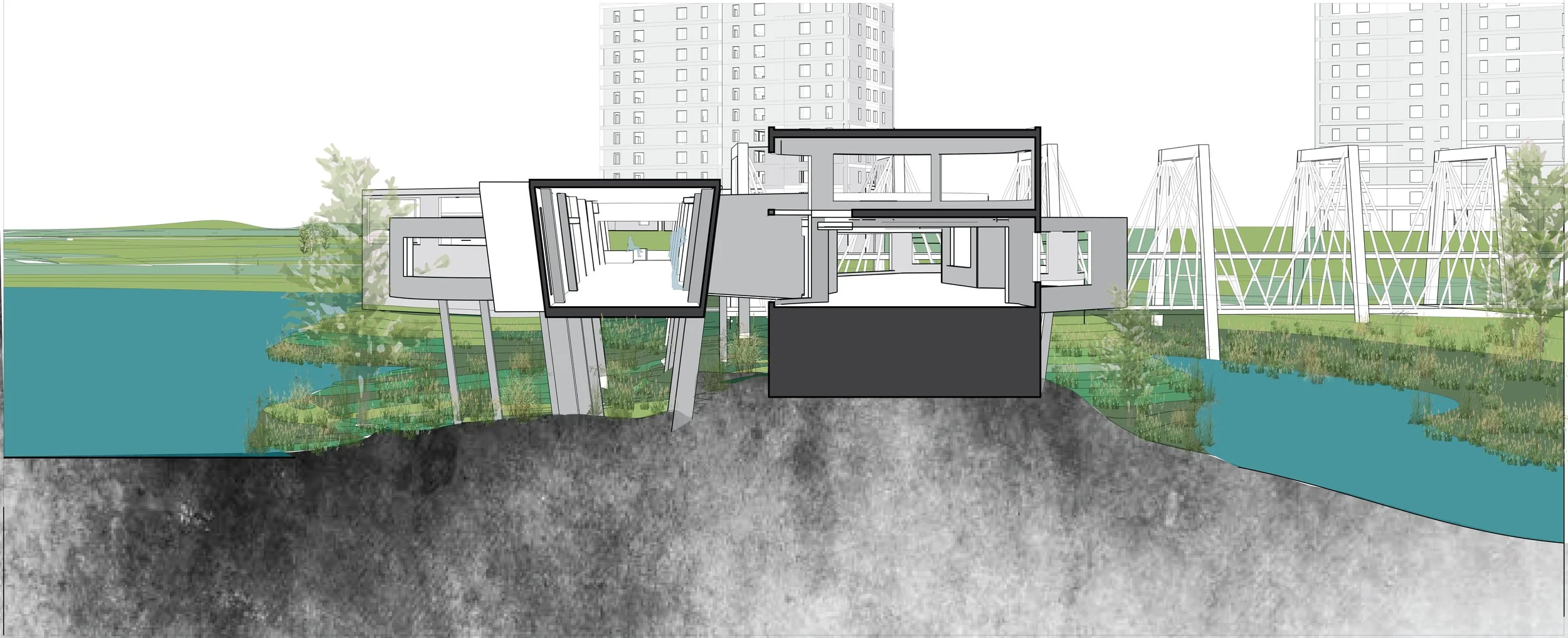 Multiscalarity Nature and Community