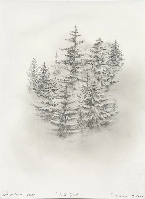 Landscape Trees (Moonlight), graphite on paper, 15” x 11”, 2021