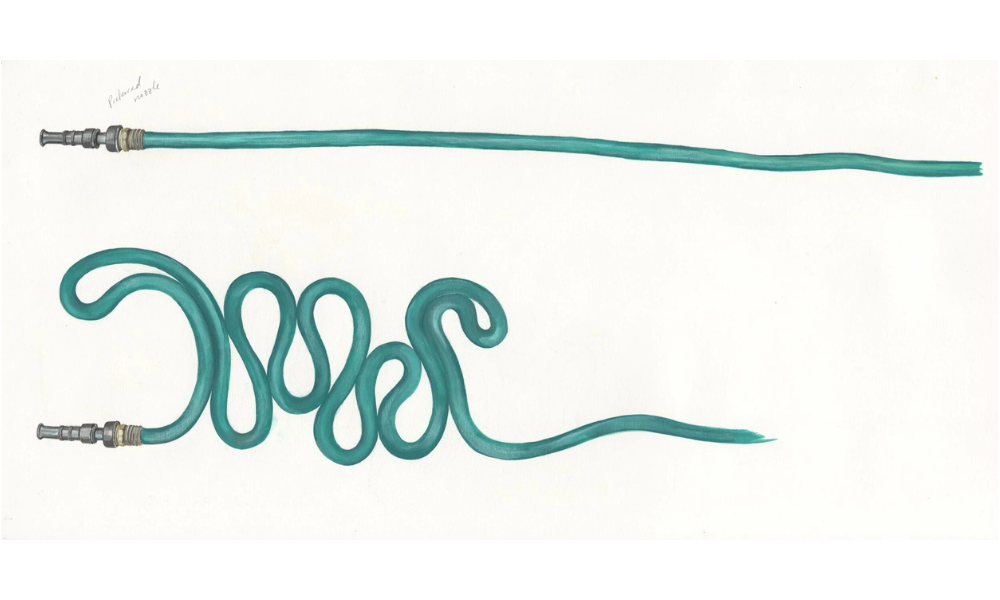 Hose (Sunday Morning), gouache on paper, 14 1/4” x 25”, 2020