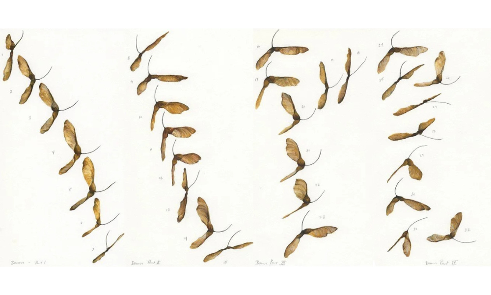 Seeds 1-32 (Dawn), gouache & watercolor on paper, 2019/2020 