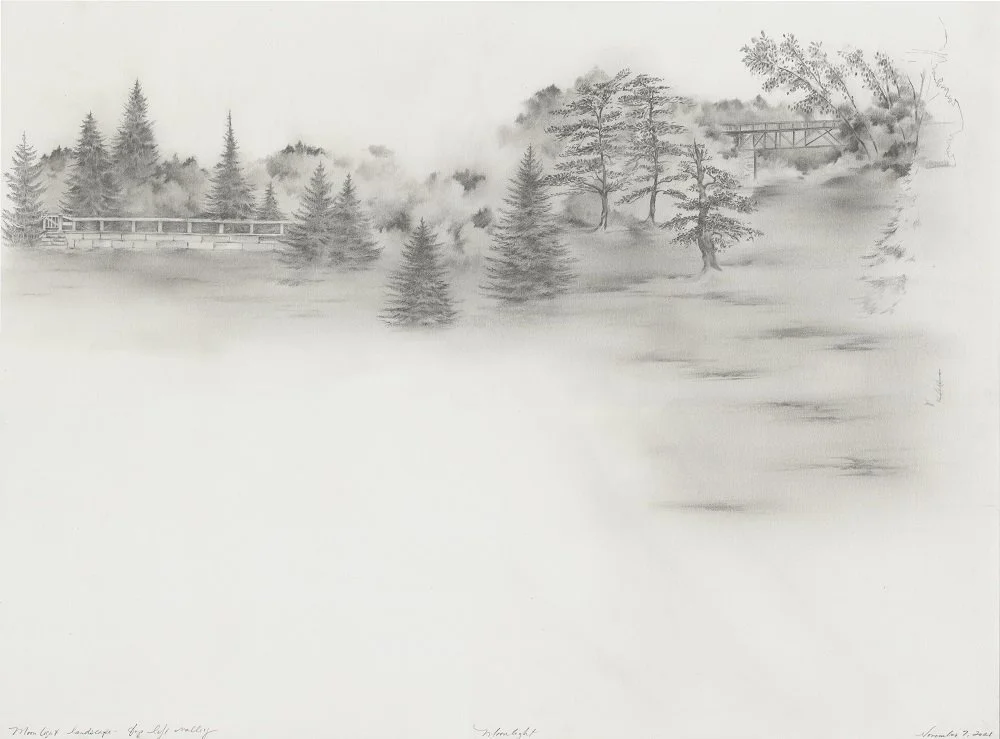 Entrance to Left Valley (Moonlight), graphite on paper, 11” x 15”, 2021