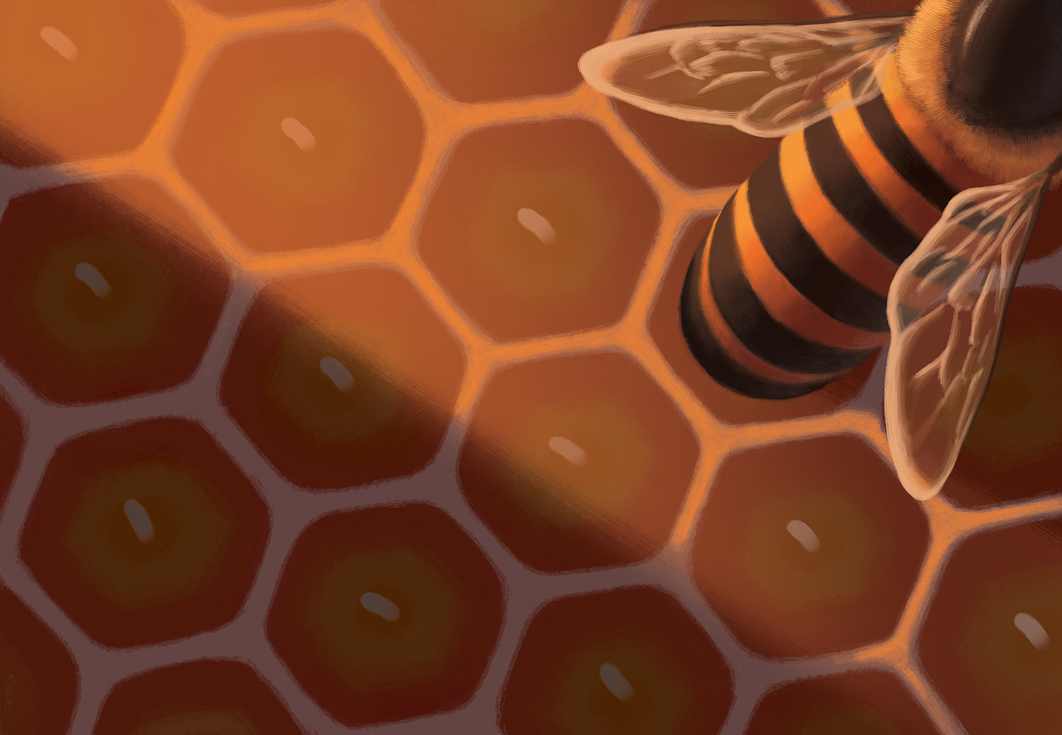 Honey Bees 05 Ken Samonte.jpg