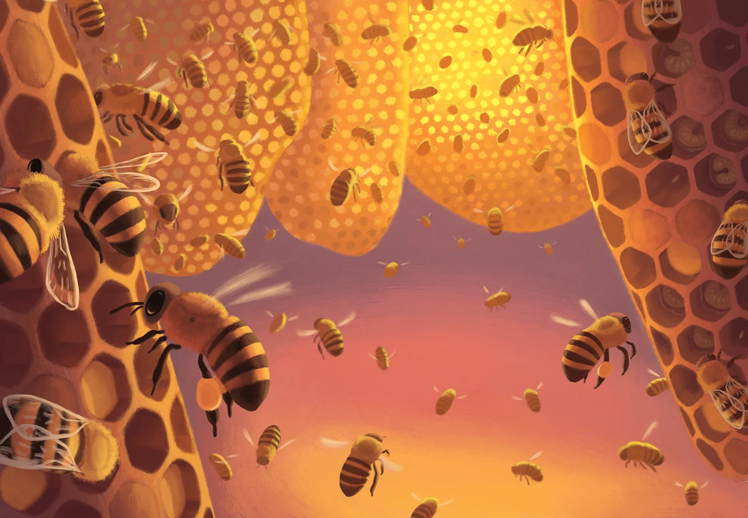 Honey Bees 06 Ken Samonte.jpg