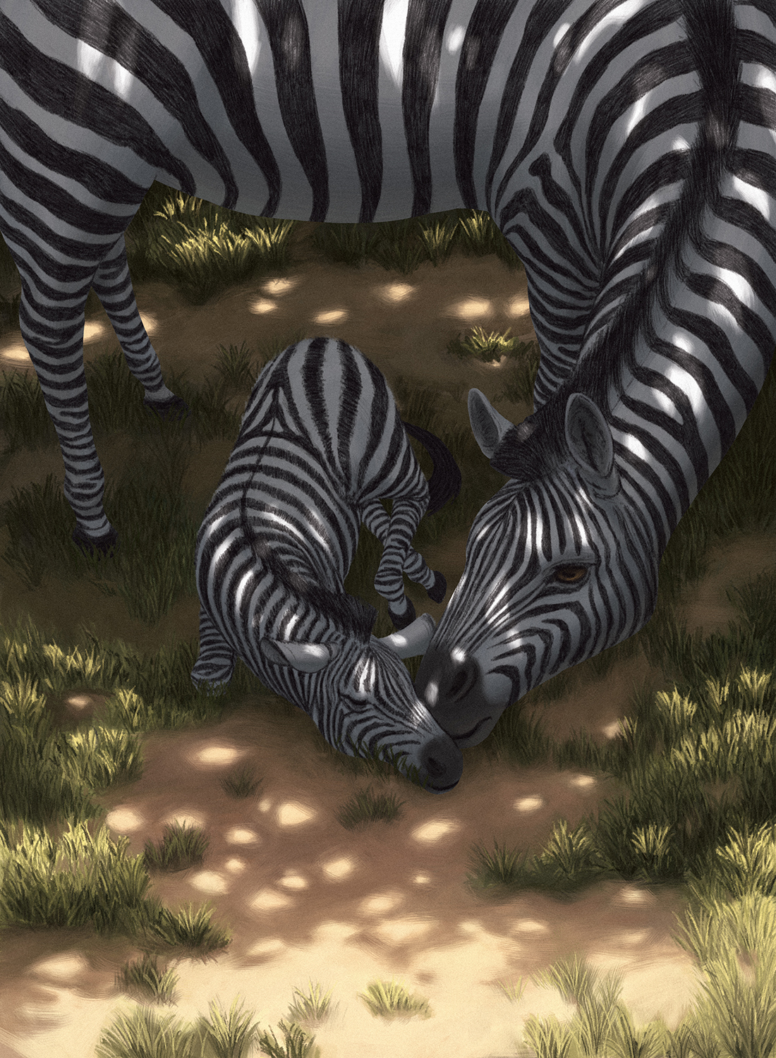 Zebra Crossing 01 Ken Samonte.jpg