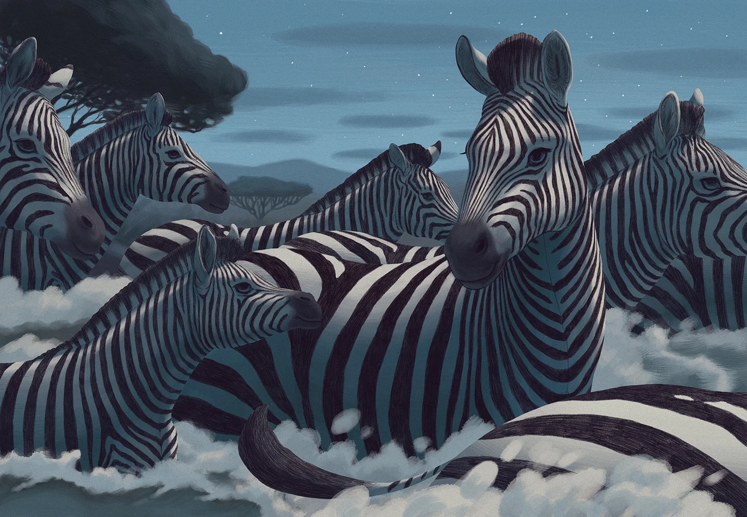 Zebra Crossing 08 Ken Samonte.jpg