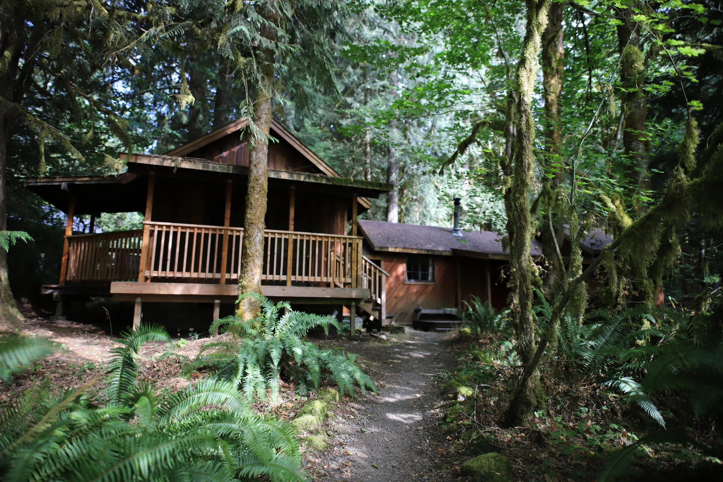 treehouse