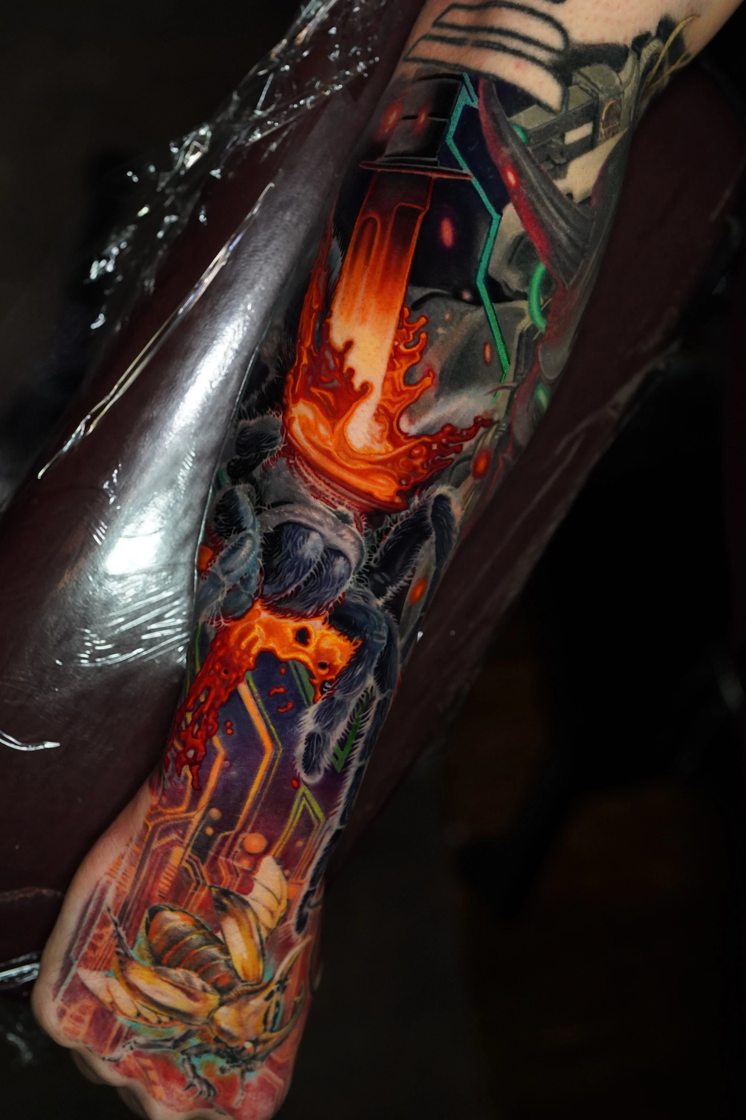 DSC00709-revised.jpg