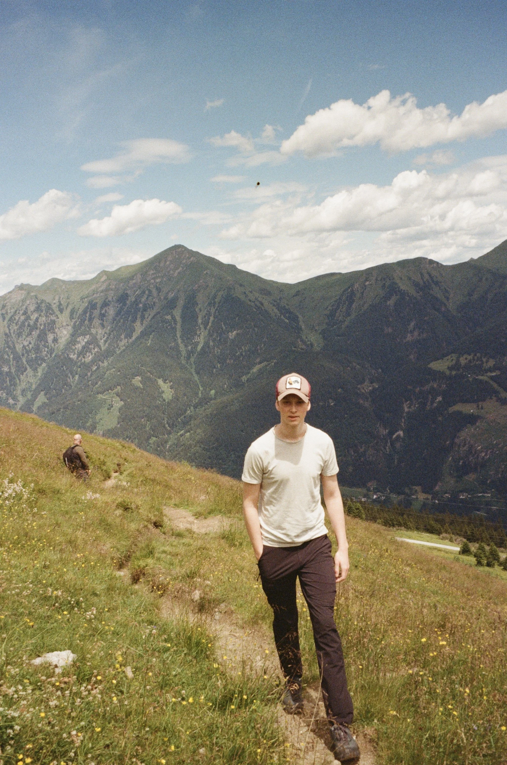 So many mountain flowers! Bad Gastein, 2026.