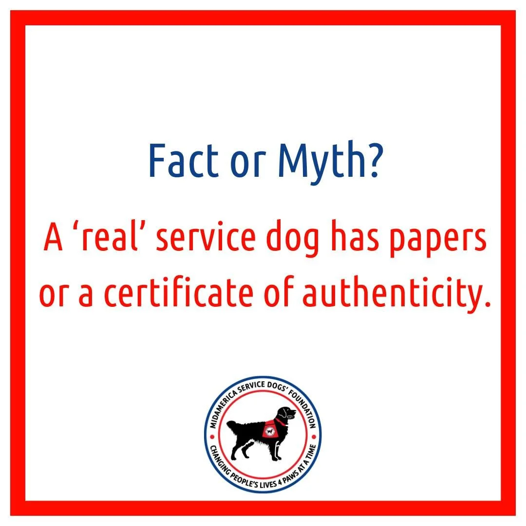 Myth.
There&rsquo;s no official certification or paperwork required for a service dog under the ADA. A real service dog is defined by the work or tasks it&rsquo;s trained to perform to assist a person with a disability &mdash; not by papers, IDs, or 