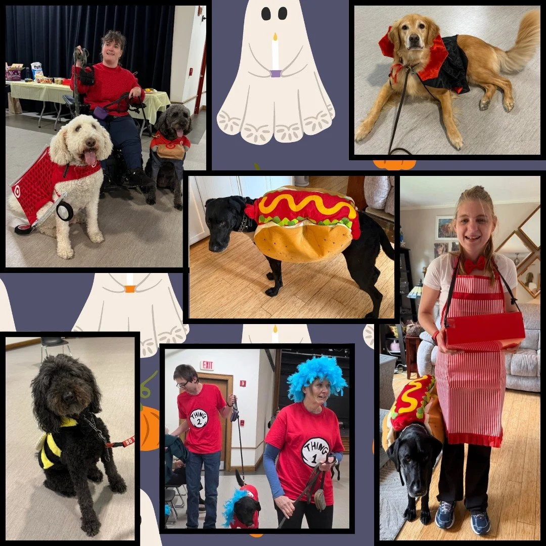 Happy Halloween! 👻🎃
.
.
.
#midamericaservicedogs #happyhalloween2025 #servicedogsofinstagram