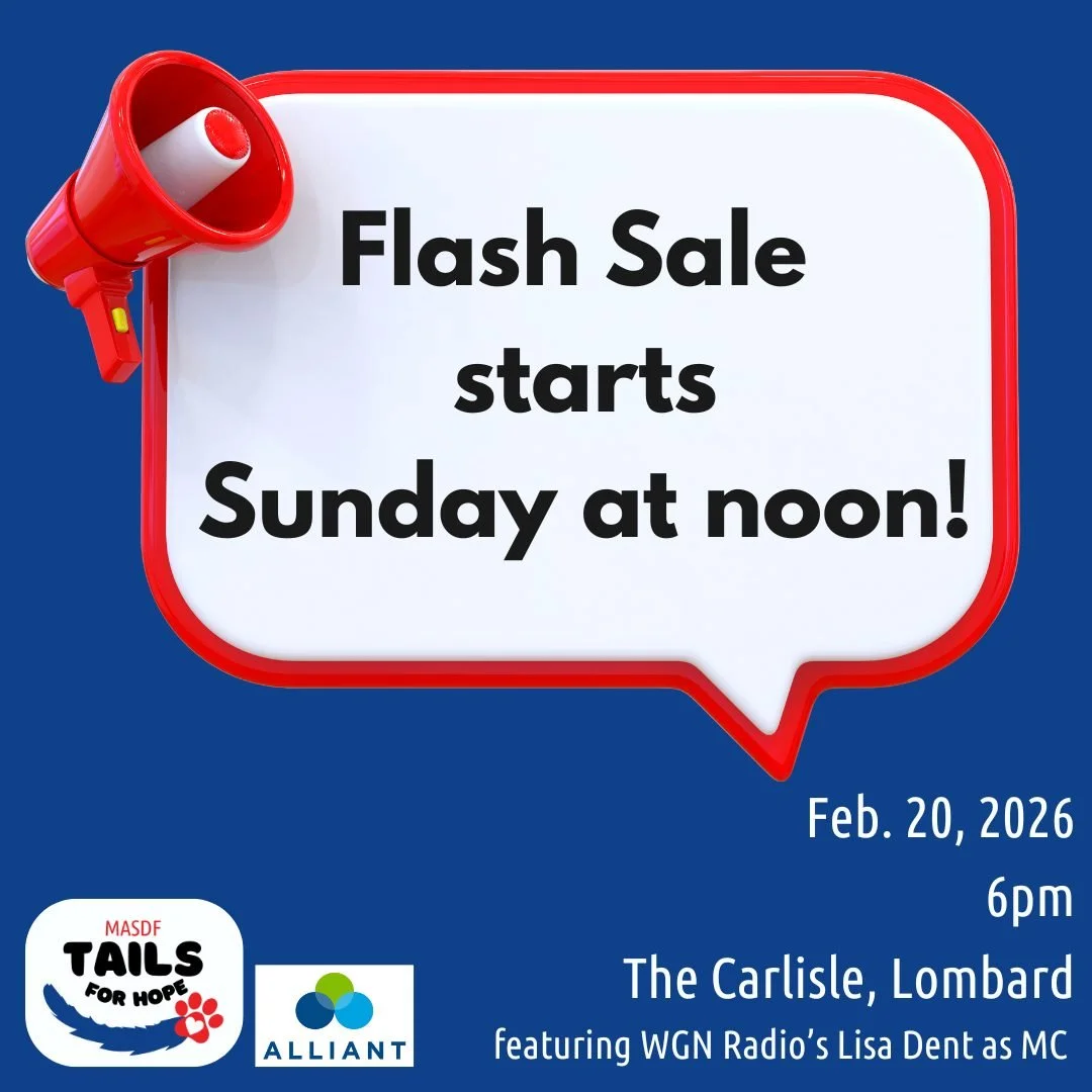 Set your alarms for 12pm CST on Sunday for our final FLASH SALE! Tickets will be discounted to $125 (normally $150) from Sunday at noon through Tuesday at 11:59pm CST. 
Your ticket includes dinner, open bar, live and silent auctions, heartwarming tai