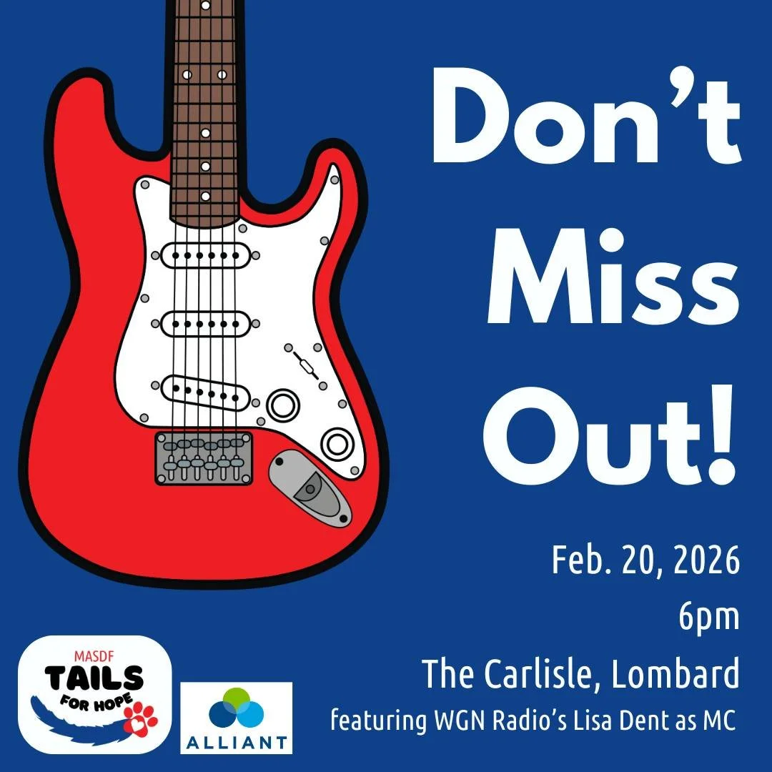 FLASH SALE: don&rsquo;t miss the beat! 🔥
Now through tomorrow, score $25 off tickets to Tails for Hope: Let&rsquo;s Rock One Tail at a Time on Friday, February 20, 2026. A rockin' good time for a pawsome cause is guaranteed to make this February one