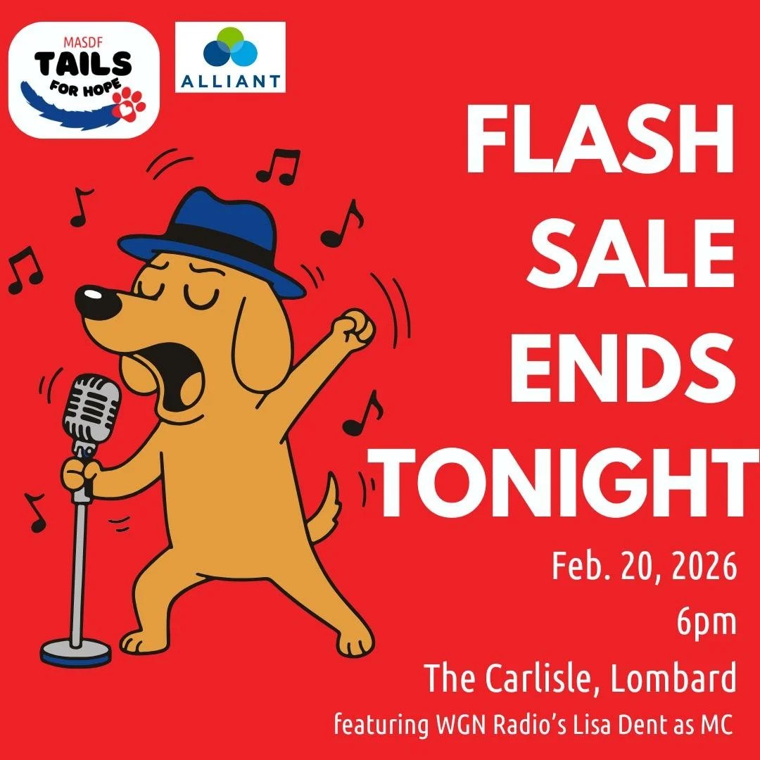 It ends TONIGHT! Grab $25 off your ticket to the Tails for Hope Fundraiser: Let&rsquo;s Rock One Tail at a Time, happening Friday, February 20, 2026. Crank up the music, warm your soul, and help us change lives four paws at a time!
.
.
.
#midamericas