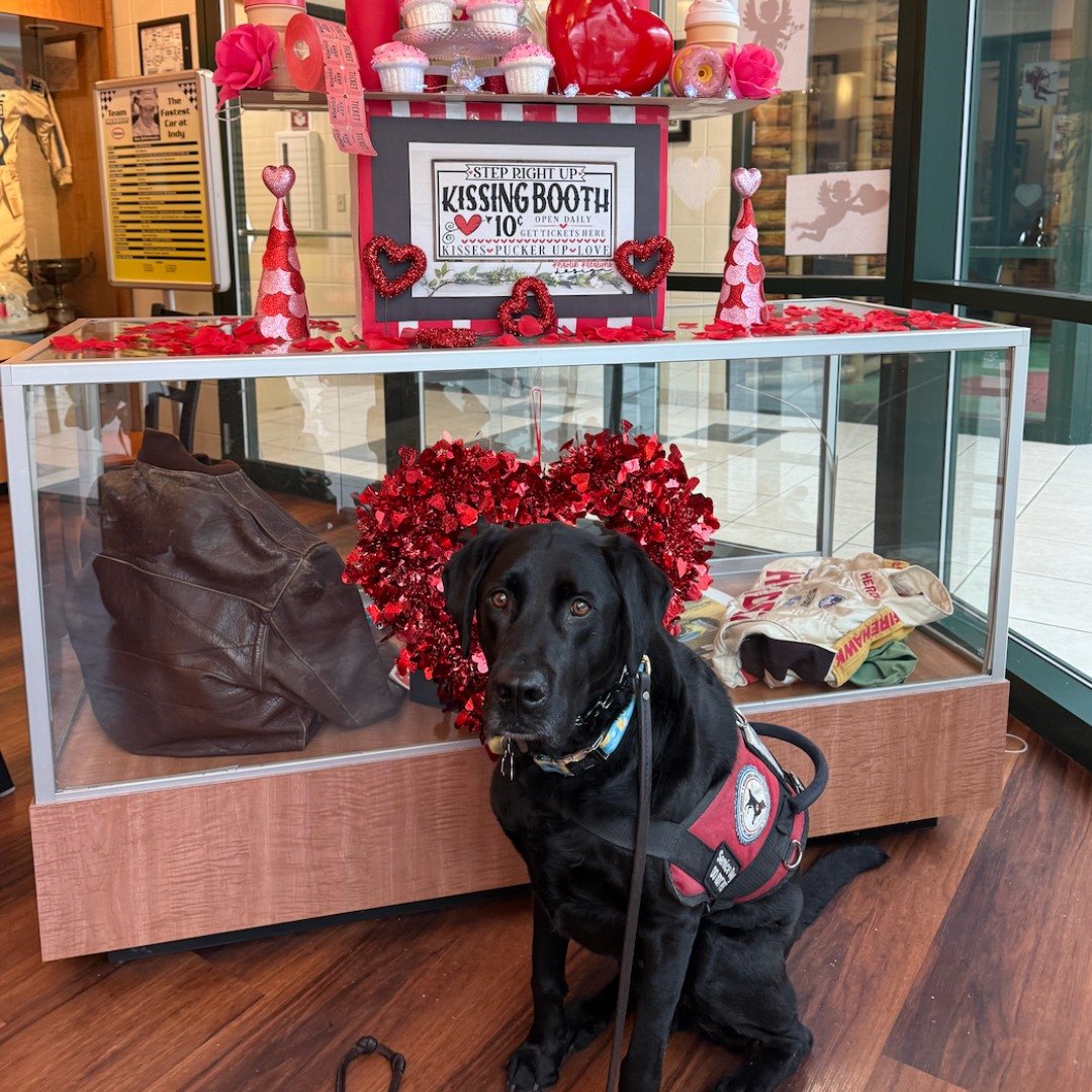 Who wouldn't lose all their money after seeing this handsome pup near the kissing booth sign??? Lincoln is a heartbreaker! 
.
.
.
#midamericaservicedogs #mybestfriendhasfourpaws #cuteasabutton #mobilitydog #bemyvalentine #chicagoland