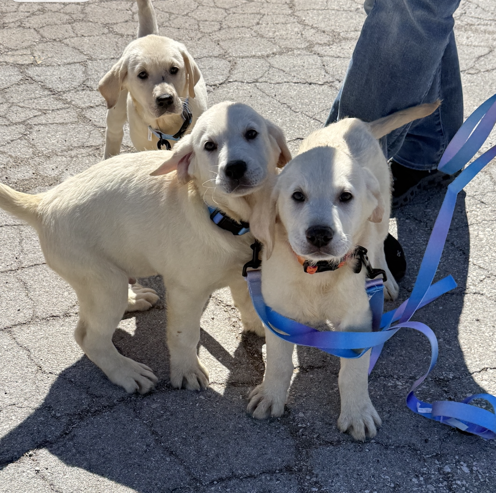 Screenshot 2026-03-16 at 6.58.14 AM.png