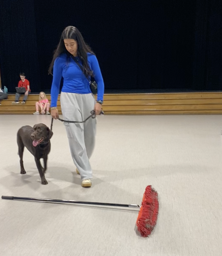 Screenshot 2026-03-16 at 12.42.43 PM.png