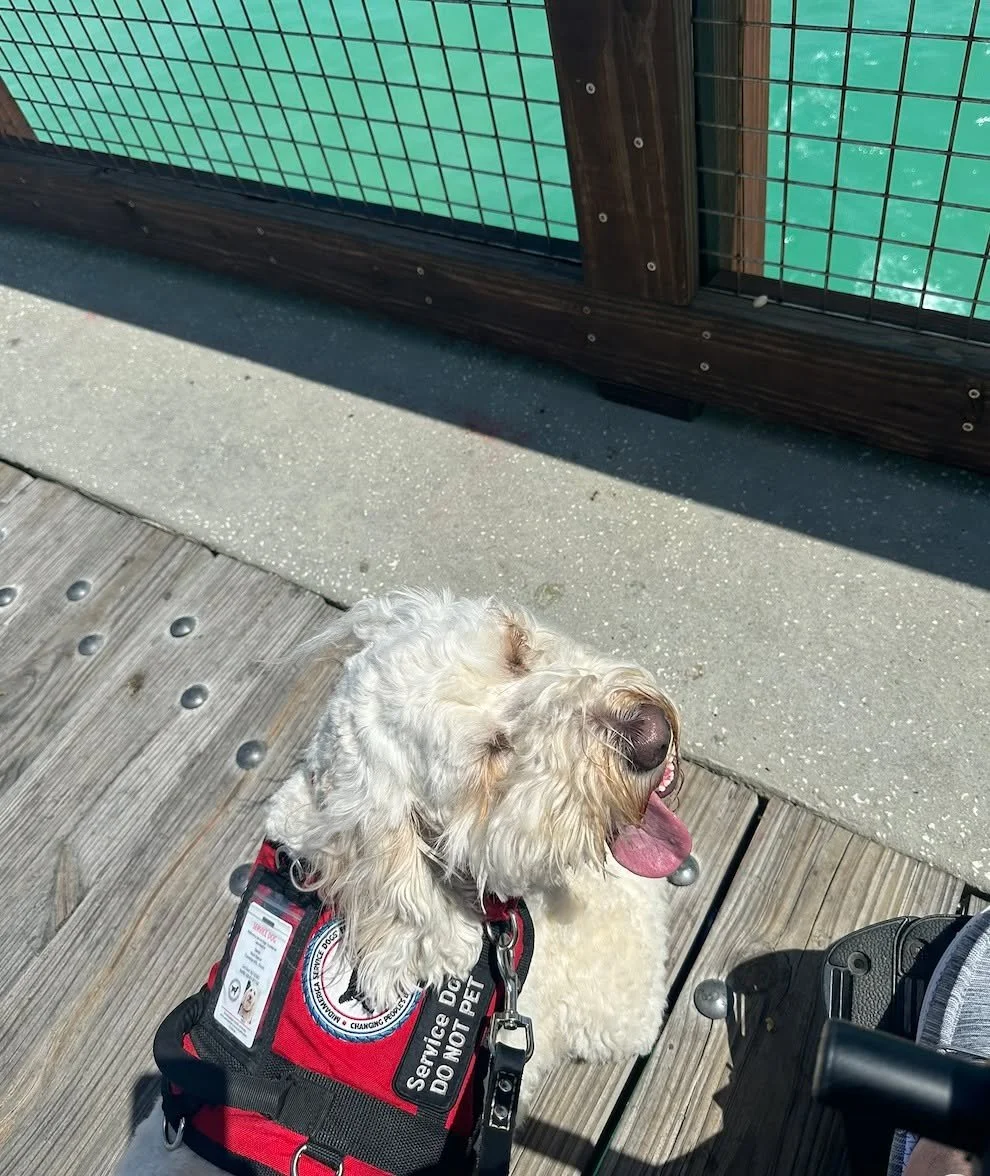 Caption this! 🤣
Looks like Maizy enjoyed her first trip to Florida!
.
Let&rsquo;s be honest&mdash;this is the face a lot of us make when we hear, &ldquo;You&rsquo;re so lucky you get to bring your dog everywhere!&rdquo; 😄
And yes&hellip;we are incr