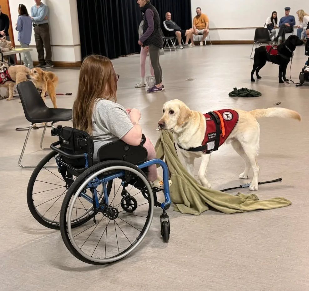 Maverick with the assist! We utilize class time for guidance and learning new skills. Chloe and Maverick worked on assigning names to specific items while practicing retrieving the unique items. Working together to be a better team! 🐾
.
.
.
#midamer