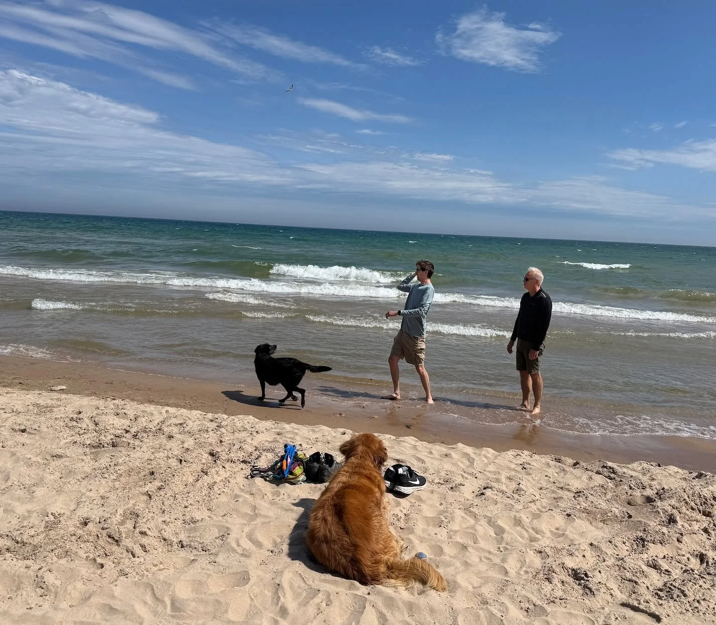 A family affair! 
Retired service dog, Duncan, looks on while his successor, Halo, is enjoying some play time. You know summer is around the corner when sand is between our paws and toes. 🐾☀️ 
.
.
.
.
#midamericaservicedogs #aboyandhisdog #mobilityd