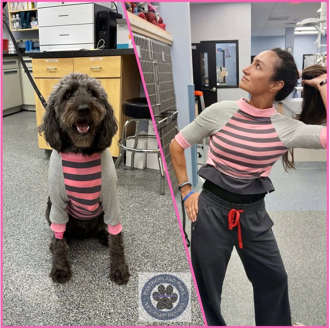 🐾 Who Wore It Best? 🐾
One of our service dogs recently had a minor procedure and was sent home sporting this fashionable recovery shirt.
Apparently, the veterinary staff decided the look was just too good not to try on themselves! 😂
Now we need yo