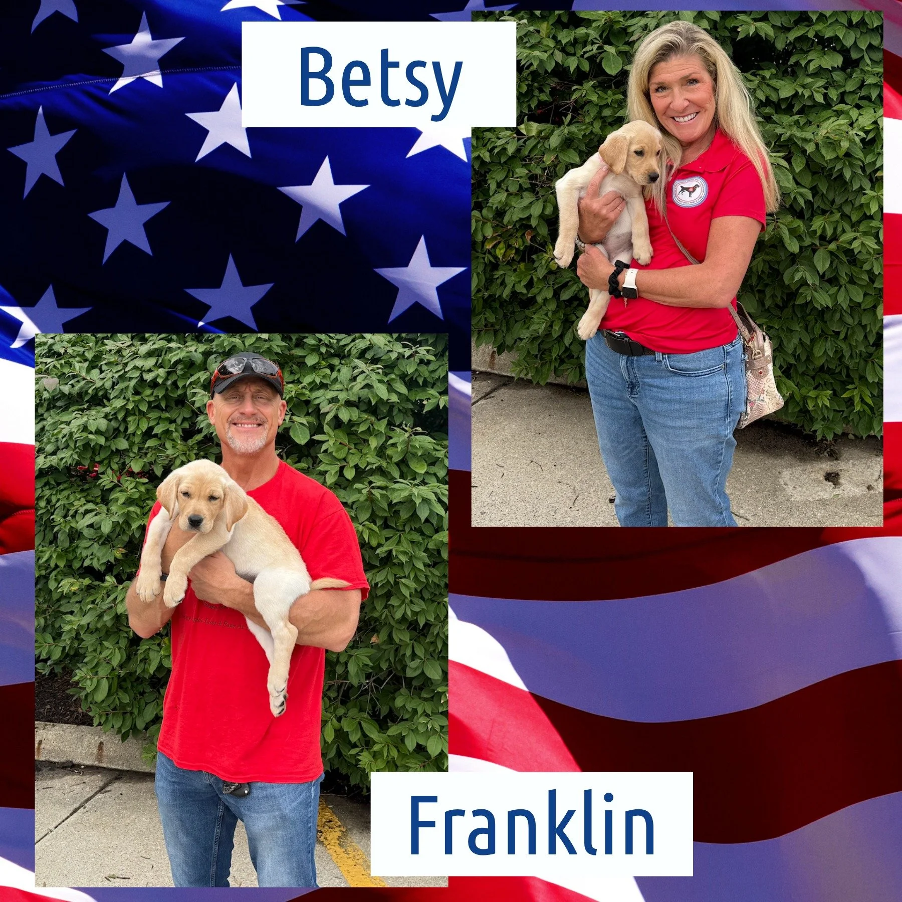 Happy 250th, America! 🎇
In honor of this once in a lifetime milestone, our two newest service dogs in training are Betsy and Franklin. The siblings began their journey as service dogs last week.
Everyone, have a safe and happy Fourth of July! 🇺🇸
.