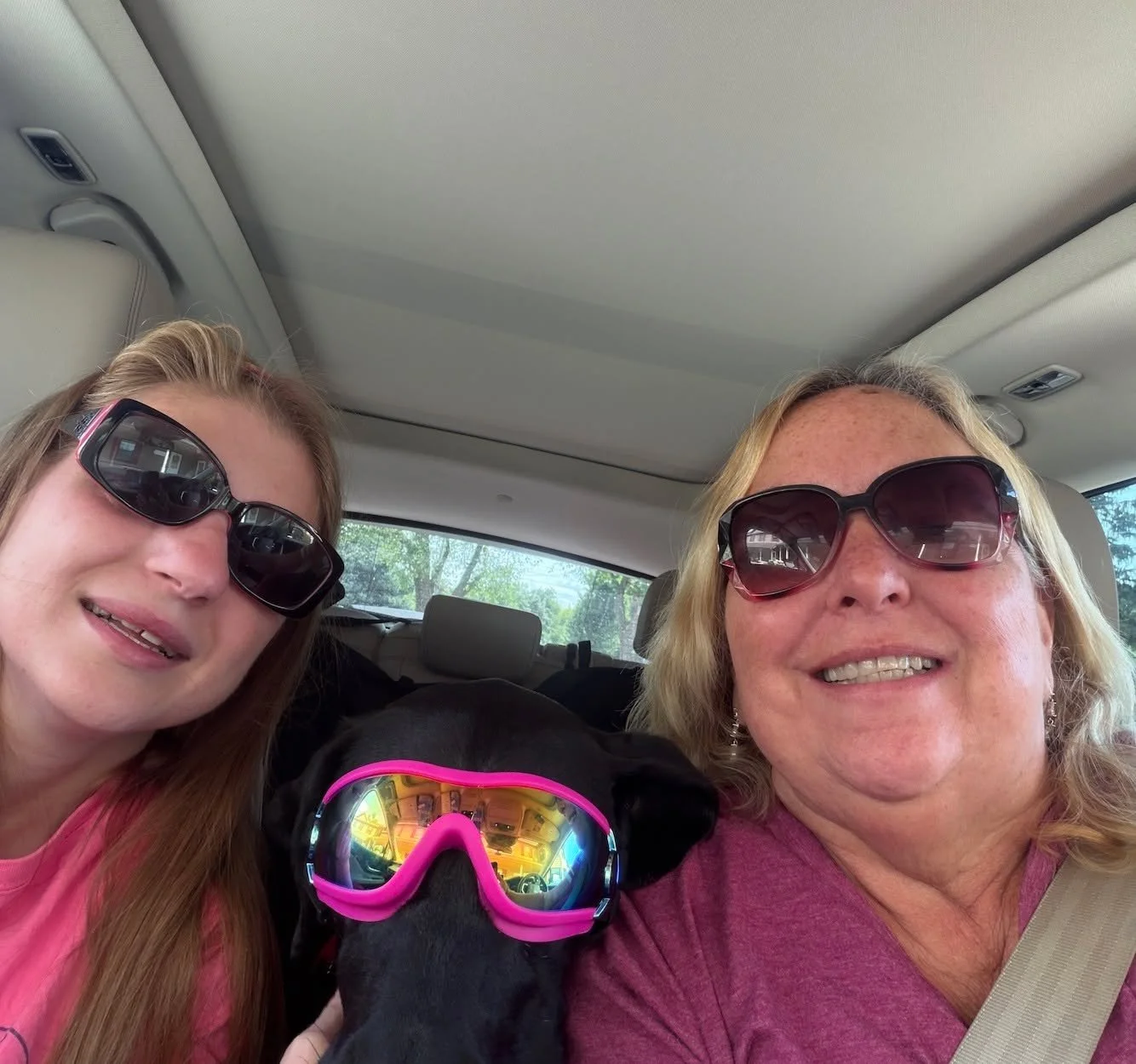 And who said a service dog's life is all work and no play? 
Bernie is road tripping for the perfect summer getaway with cool shades and all. 😎Sweet, sweet summertime!
.
.
.
#midamericaservicedogs #servicedogteam #shadesonpoint #sweetsweetsummertime 