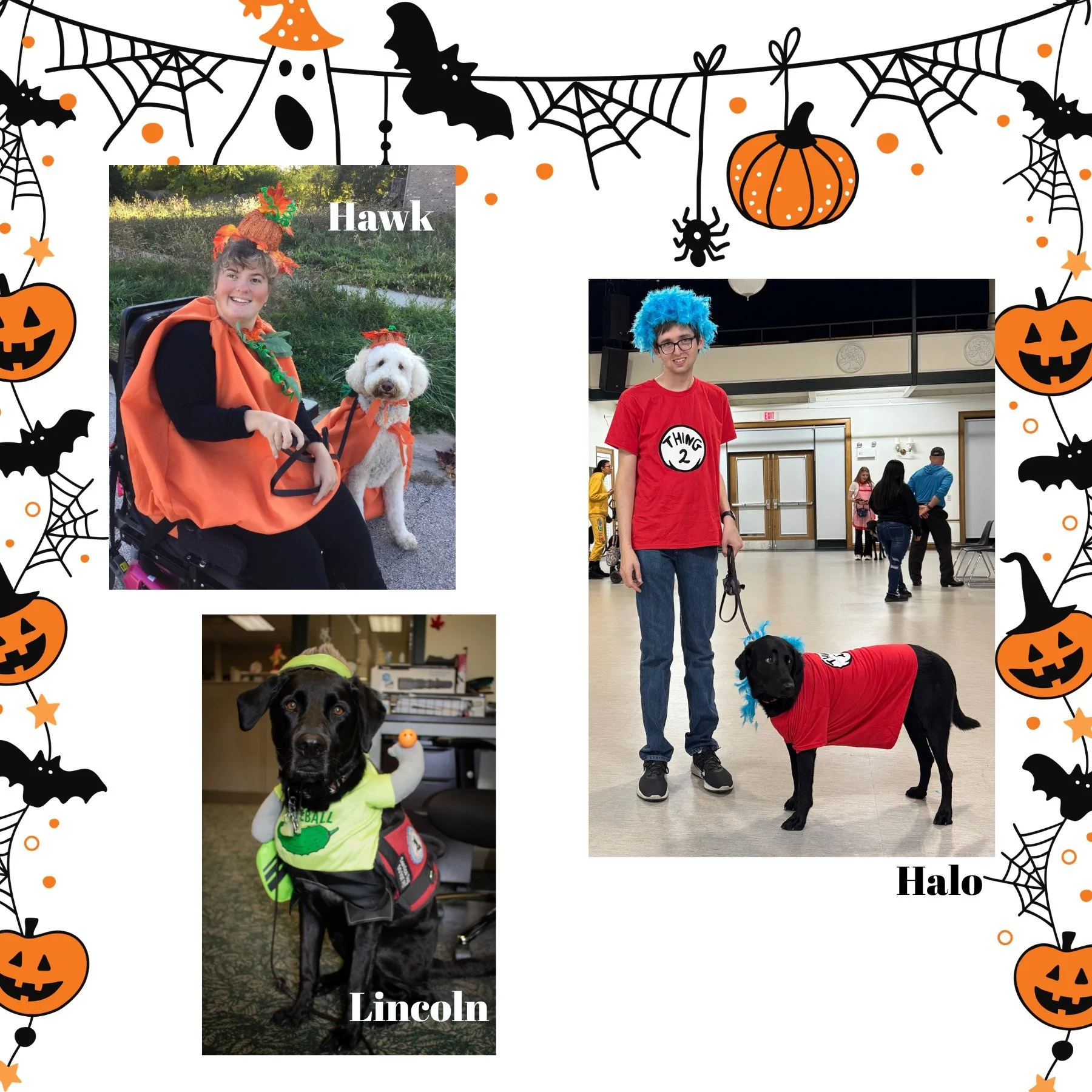 Halloween is just a few days away! Did you know service dogs love to celebrate this spooky day as well? While they may not be trick or treating for candy, they sure love to participate! Take a walk down memory lane as we revisit some of their adorabl