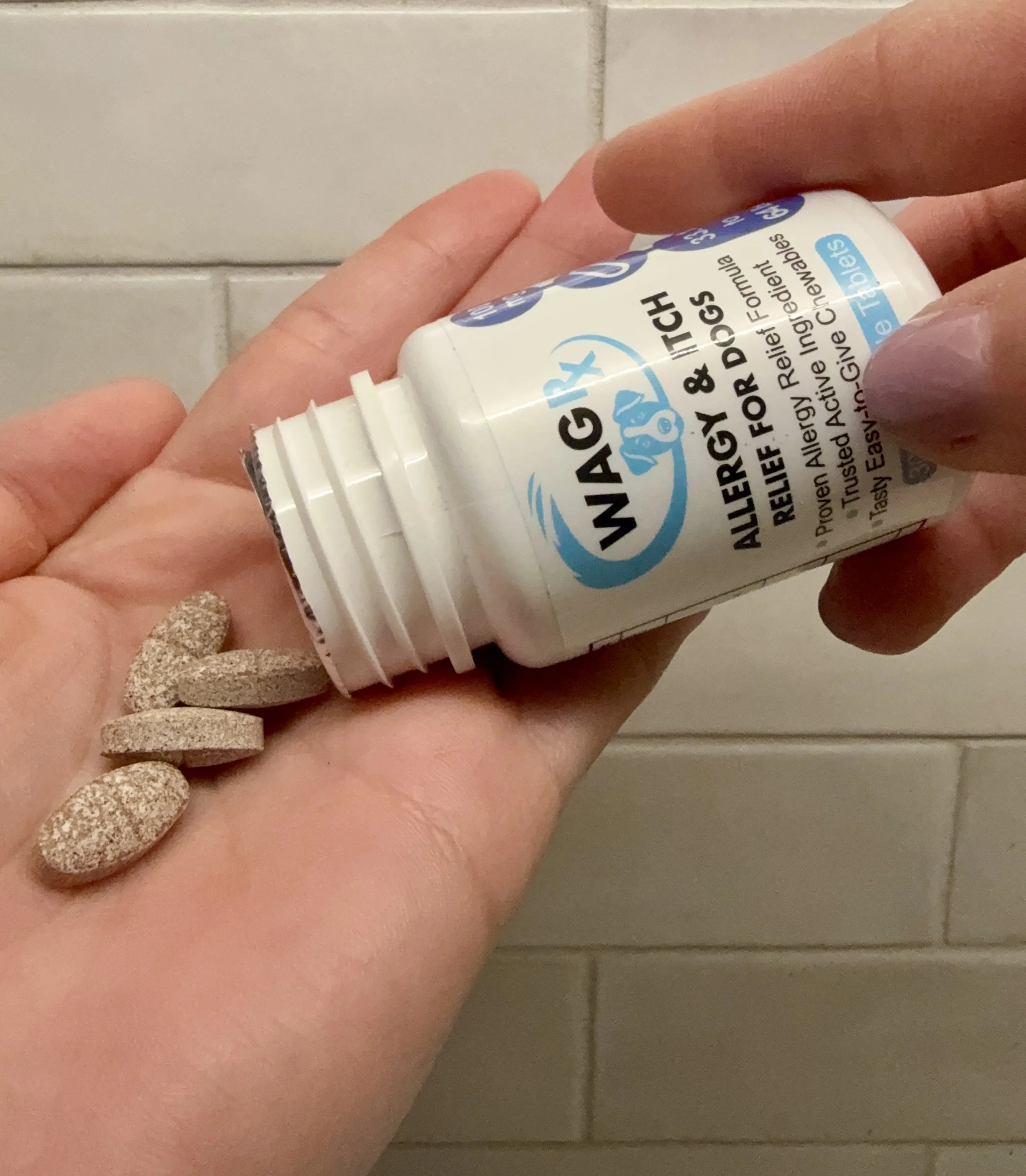 WagRx: Because One Problem Just Wasn’t Enough