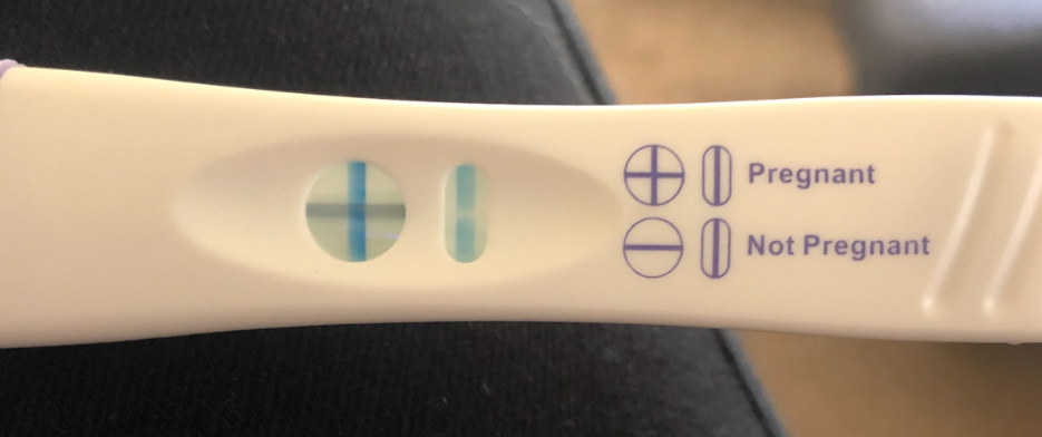 Rainbow baby pregnancy test