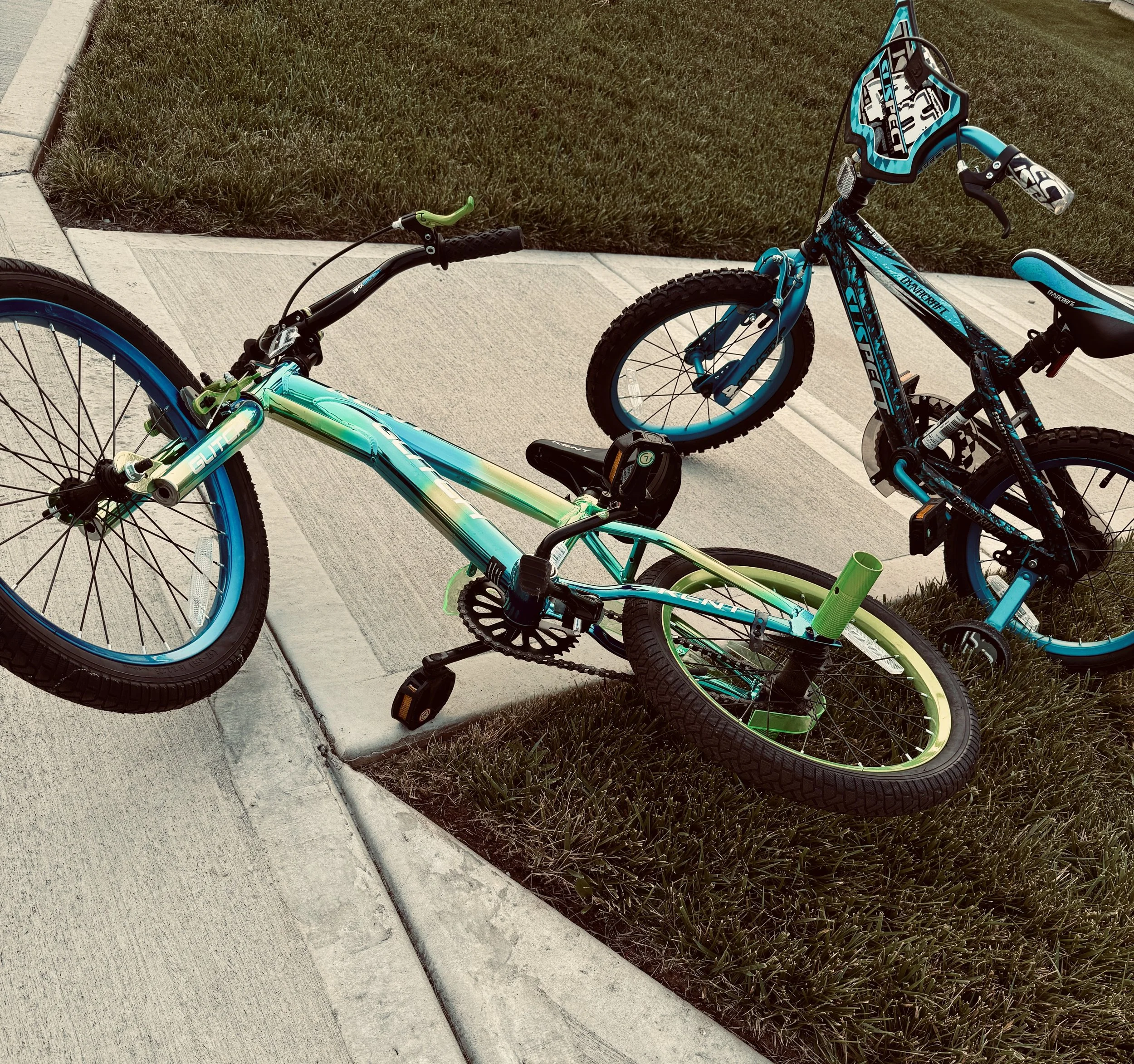 Bicycles in the Yard