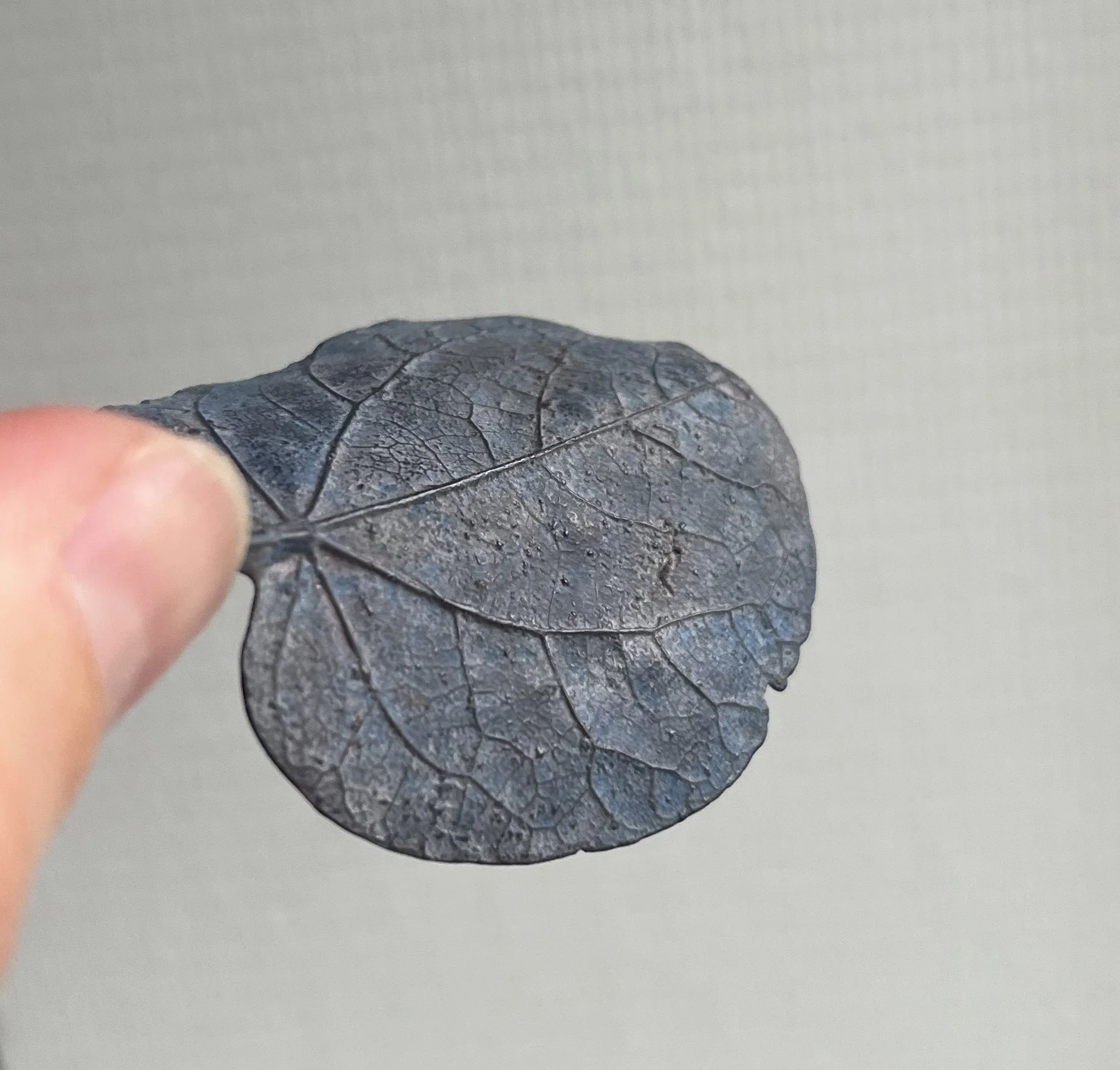 02_blue-leaf_judas_04.jpg