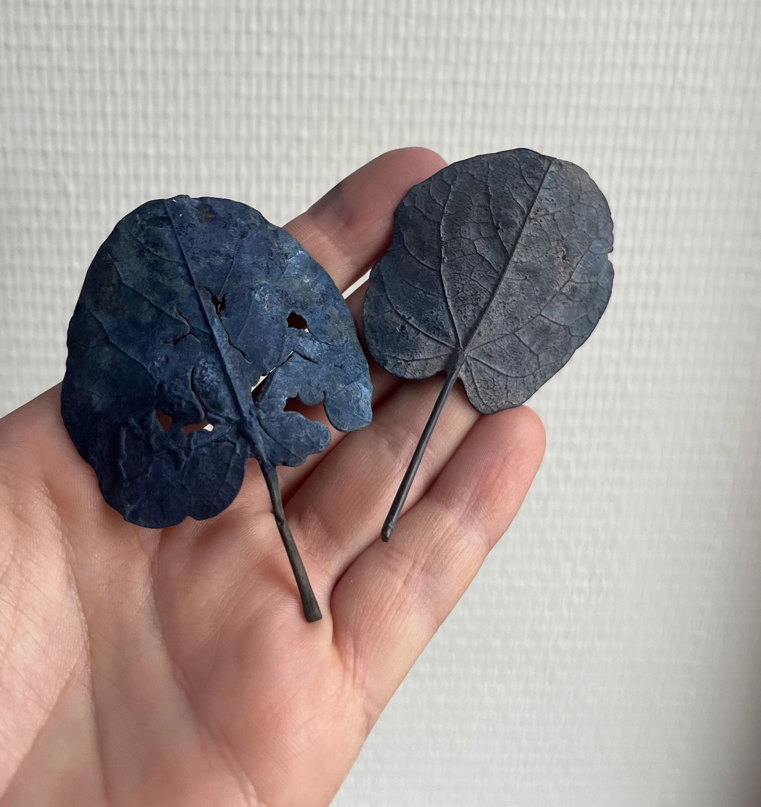 01-2_blue-leaf_judas_01.jpg