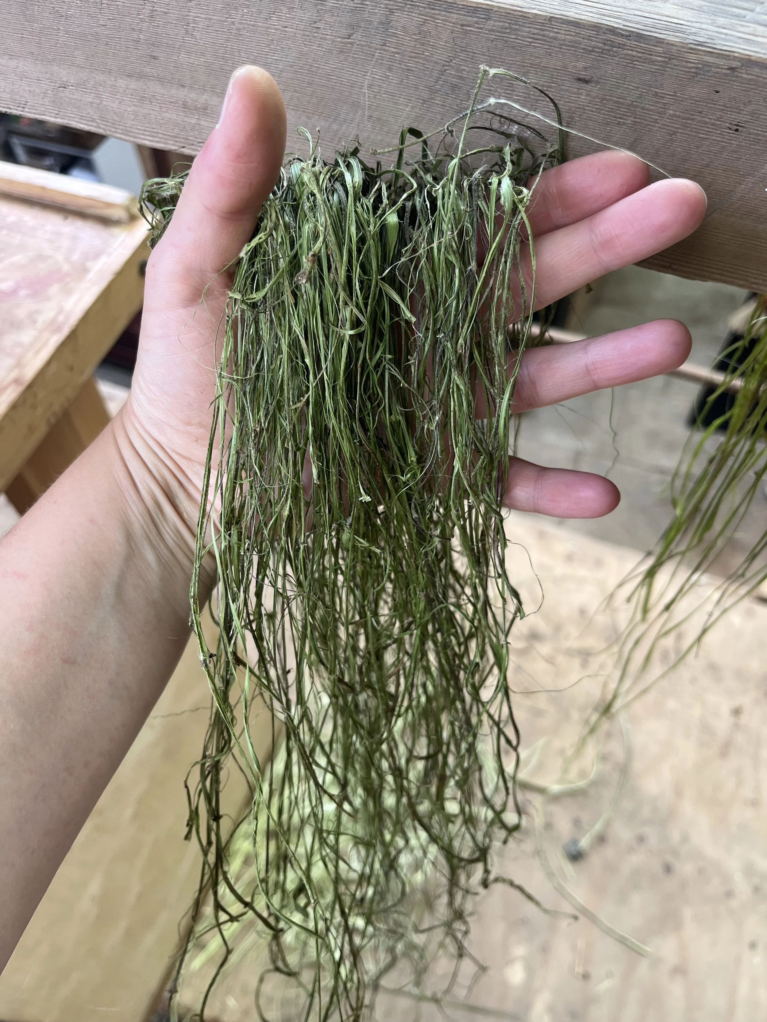 nettle_workshop_15.jpg (Copy)