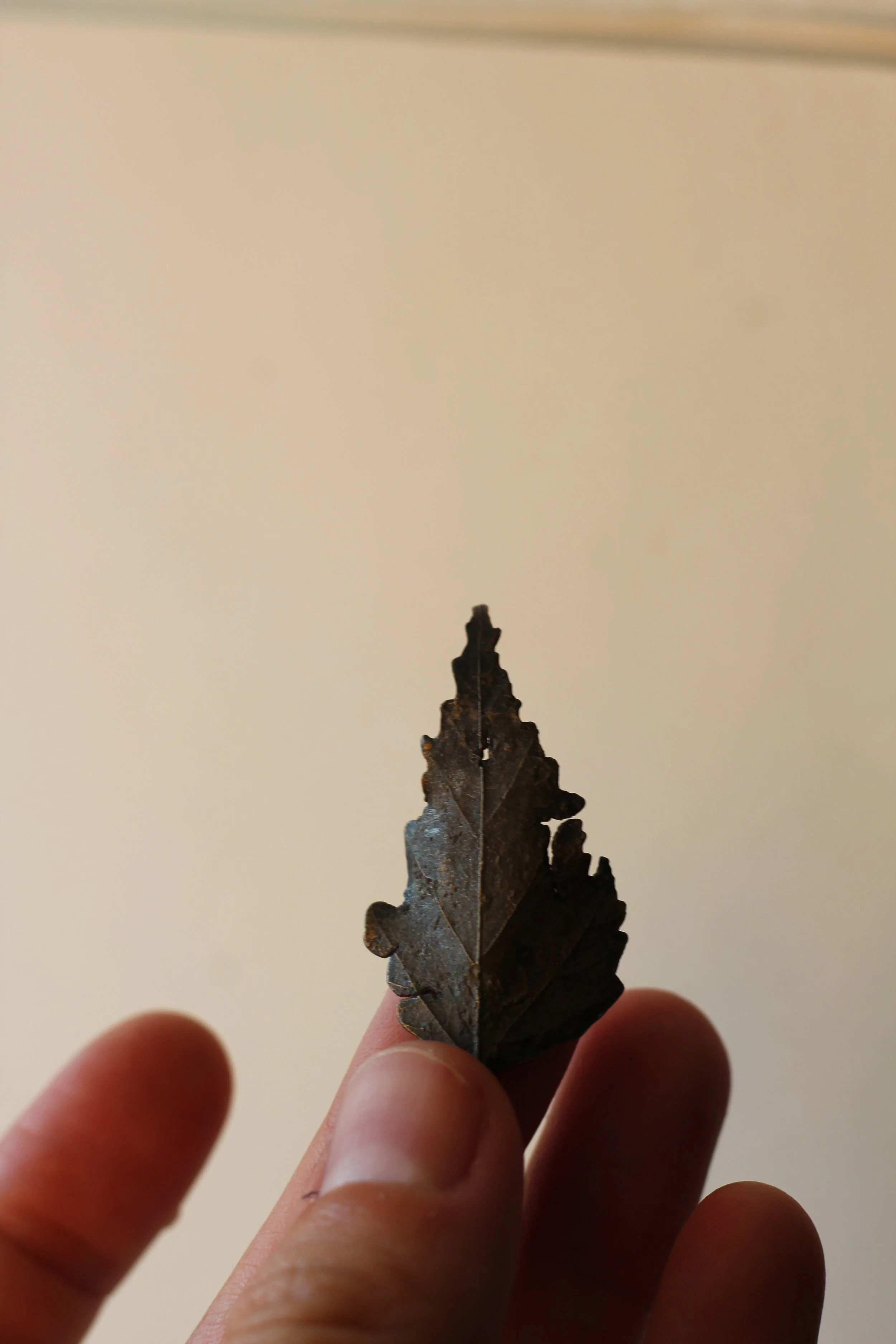 Birch Bronze Leaf II|