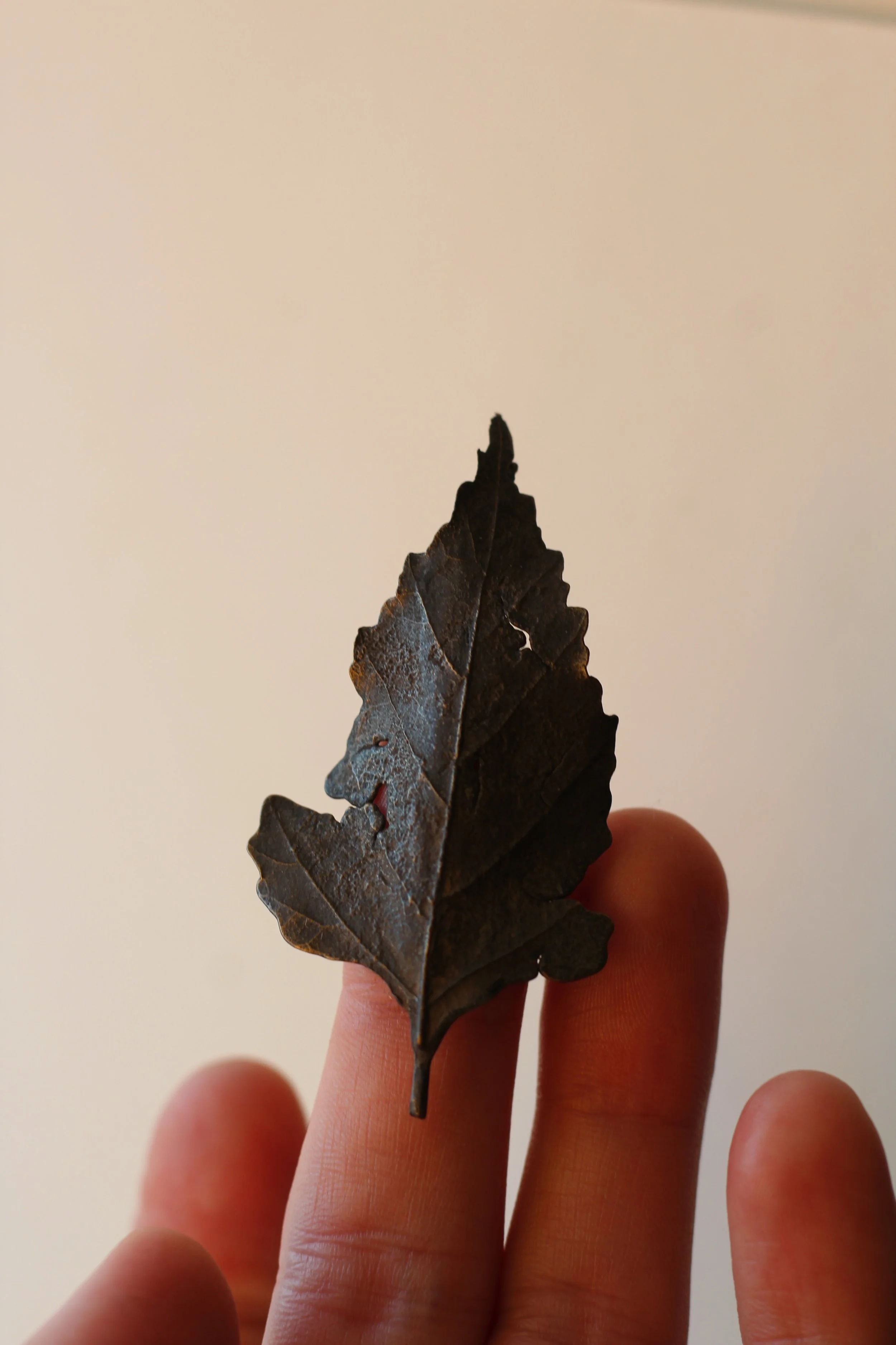 Birch Bronze Leaf IV
