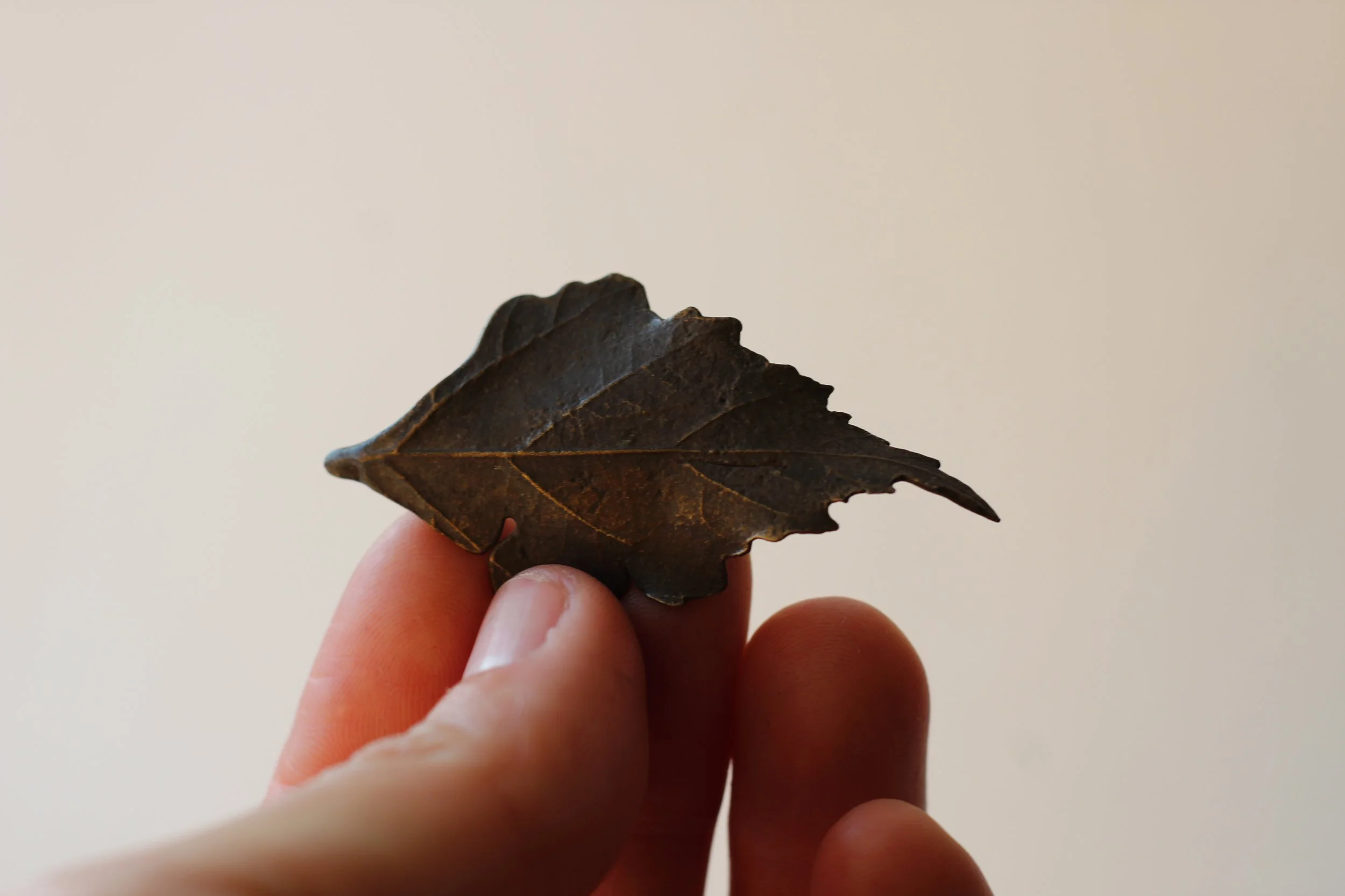 Birch Bronze Leaf V
