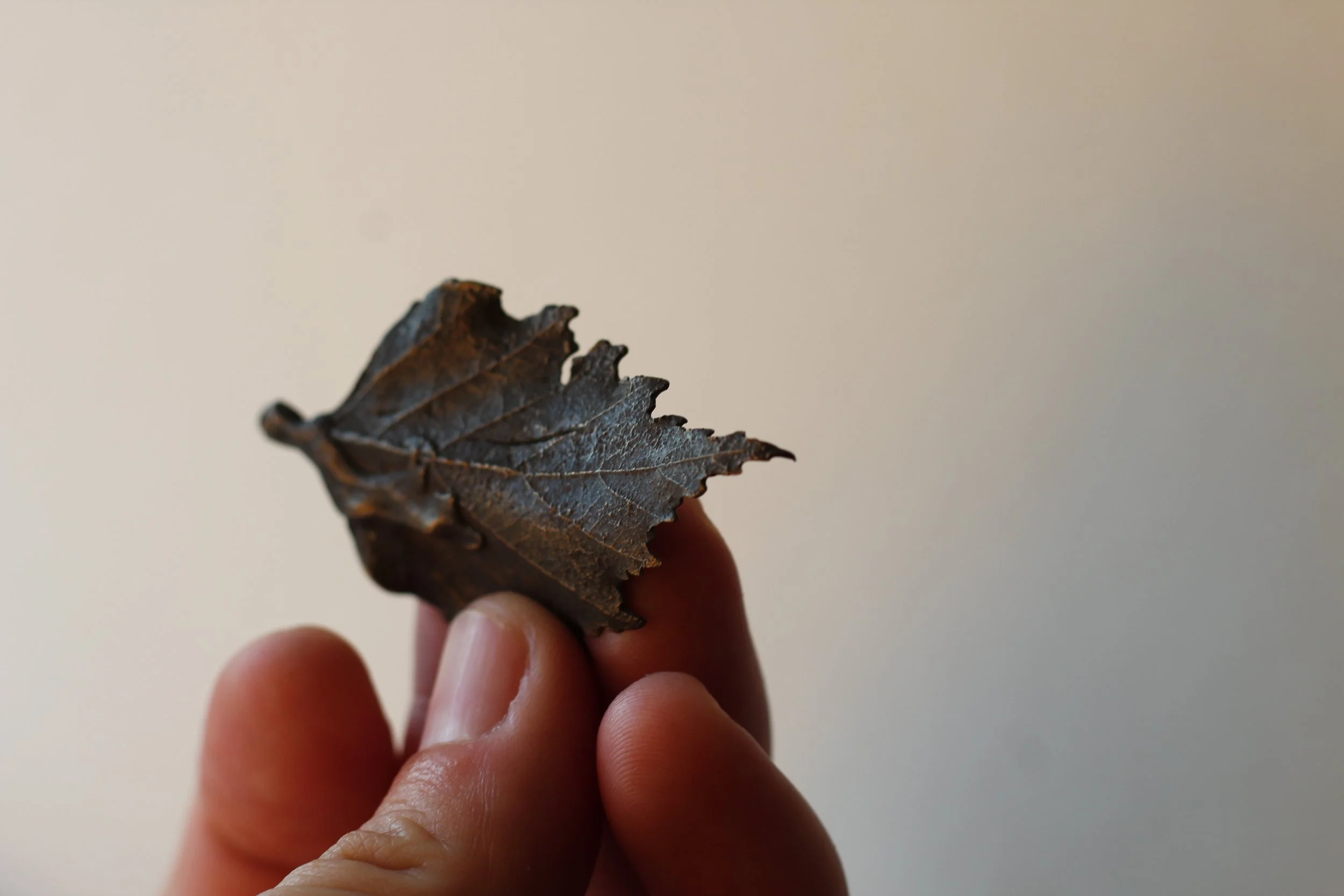 Birch Bronze Leaf VI