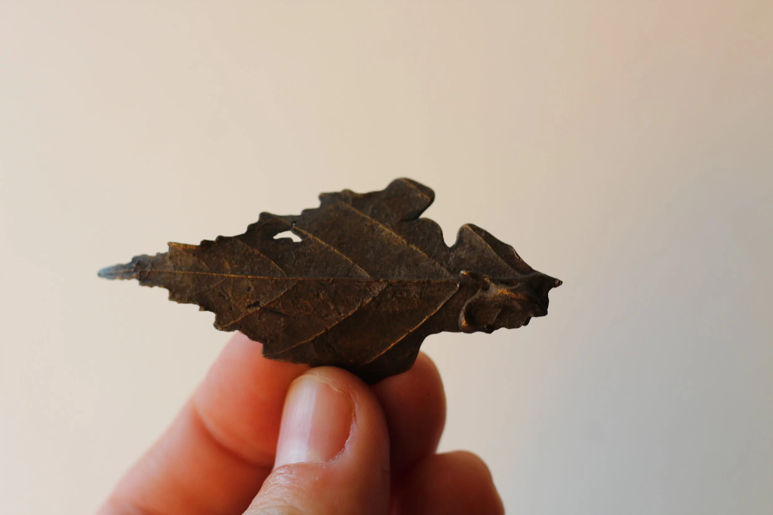 Birch Bronze Leaf IX