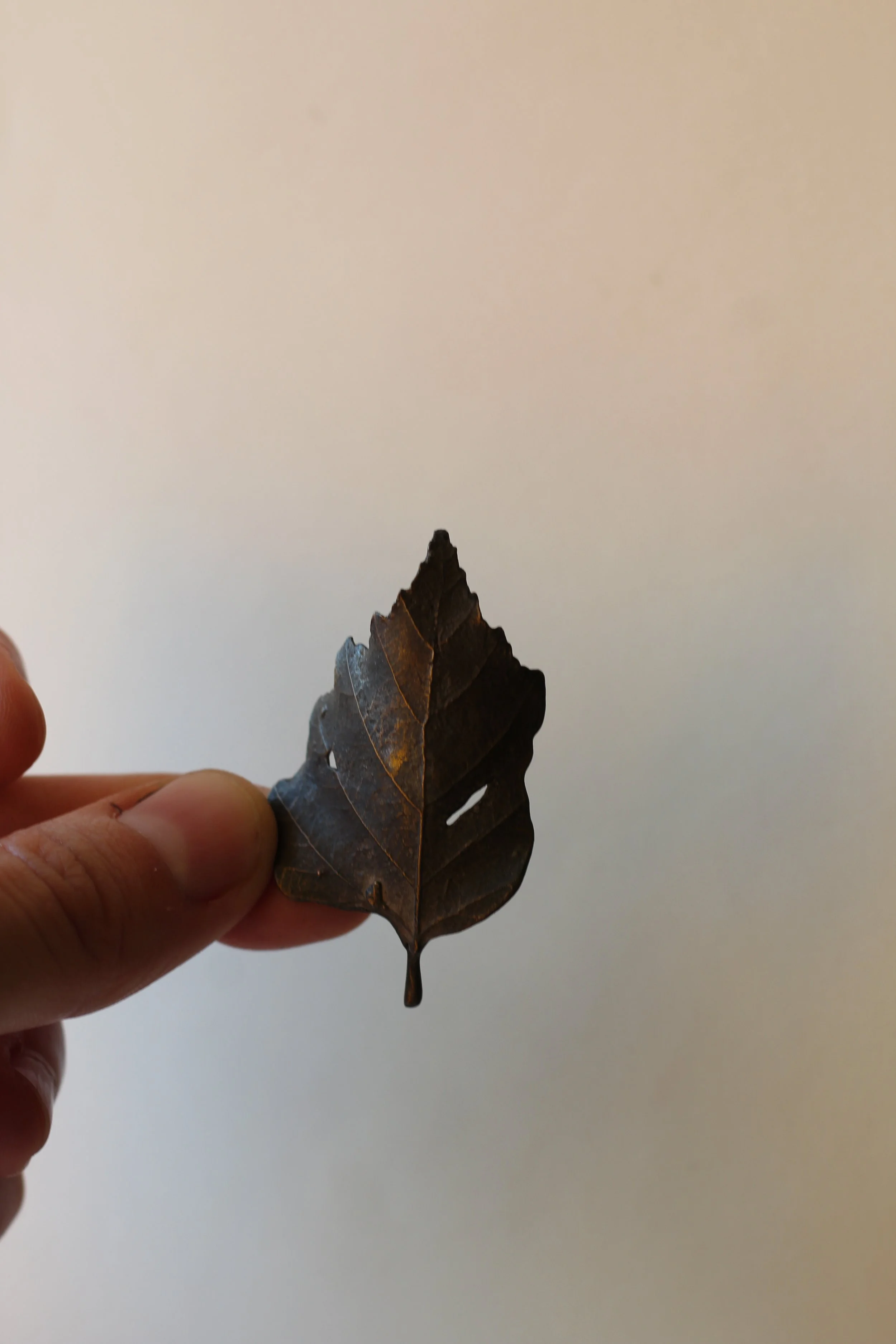 Birch Bronze Leaf X