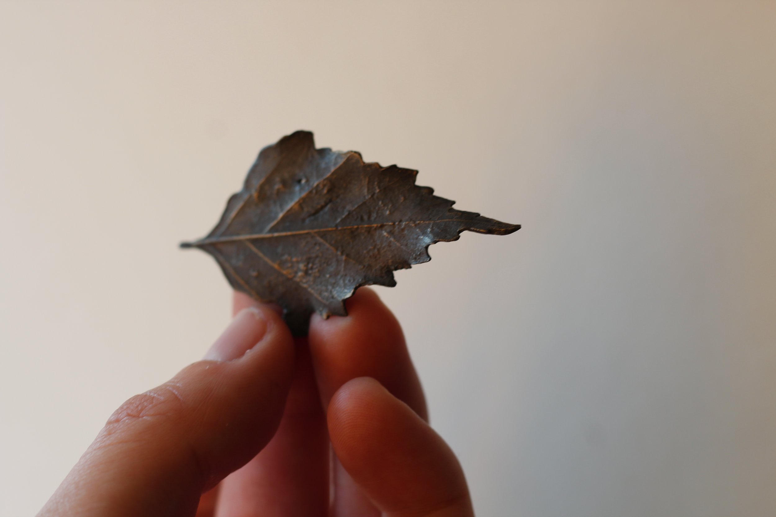 Birch Bronze Leaf XI