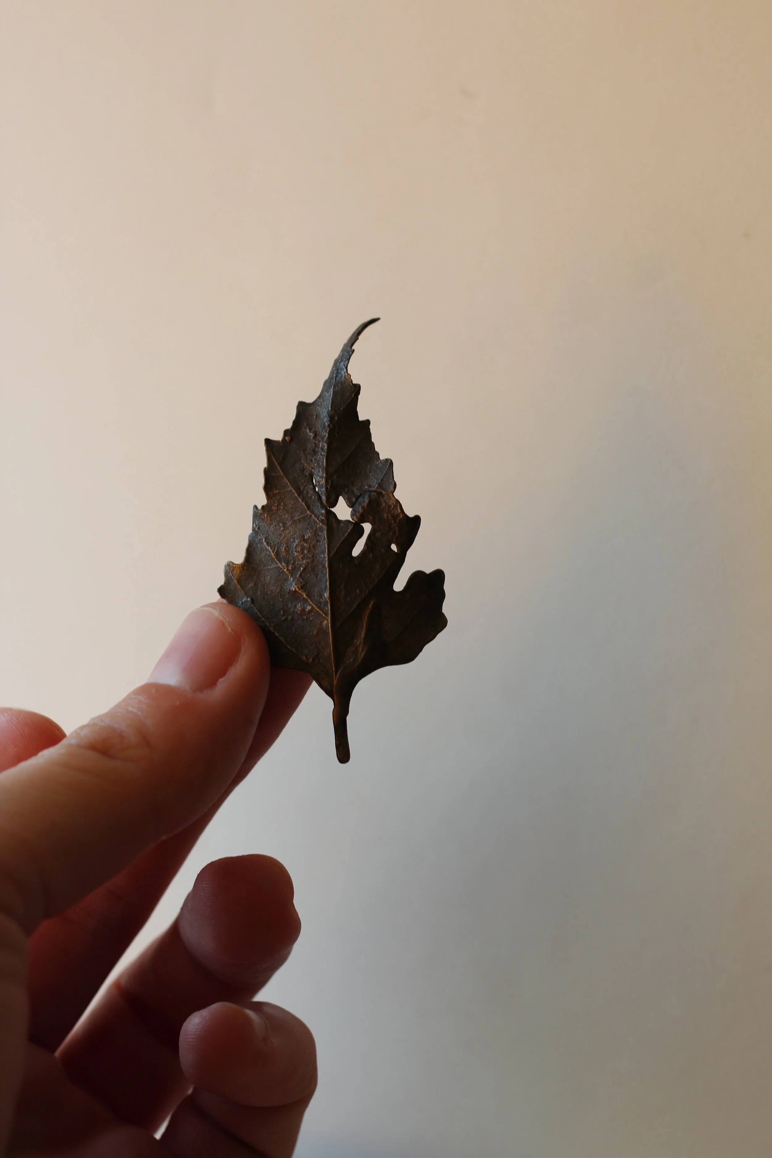 Birch Bronze Leaf XIII