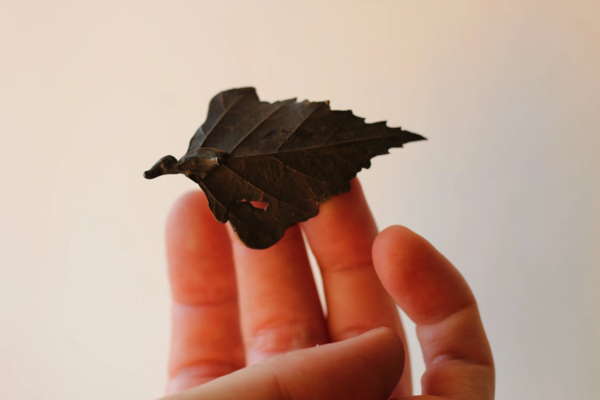 Birch Bronze Leaf XIV