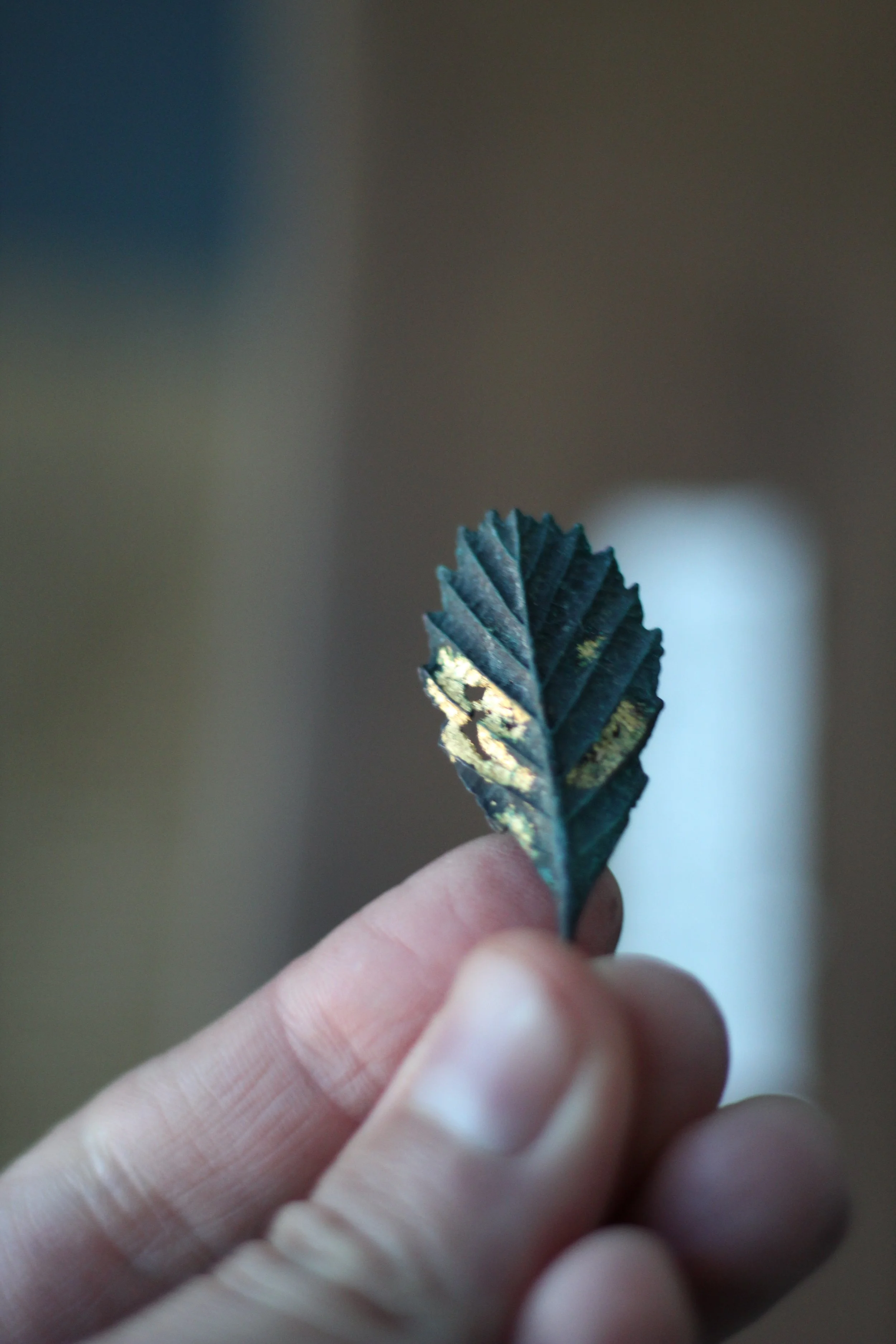 alder-bronze-gold-leaf_03_04.JPG