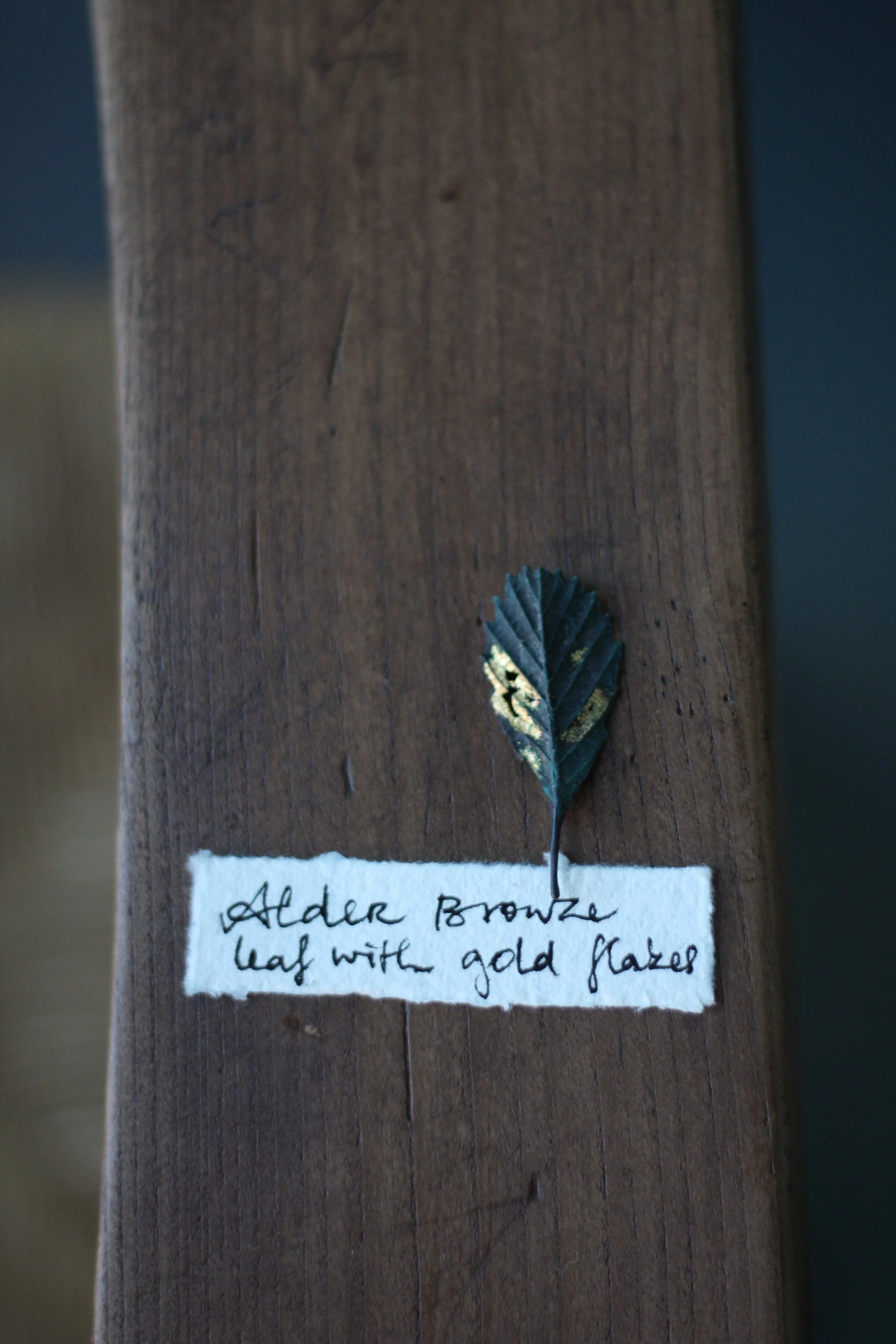 alder-bronze-gold-leaf_03_01.JPG