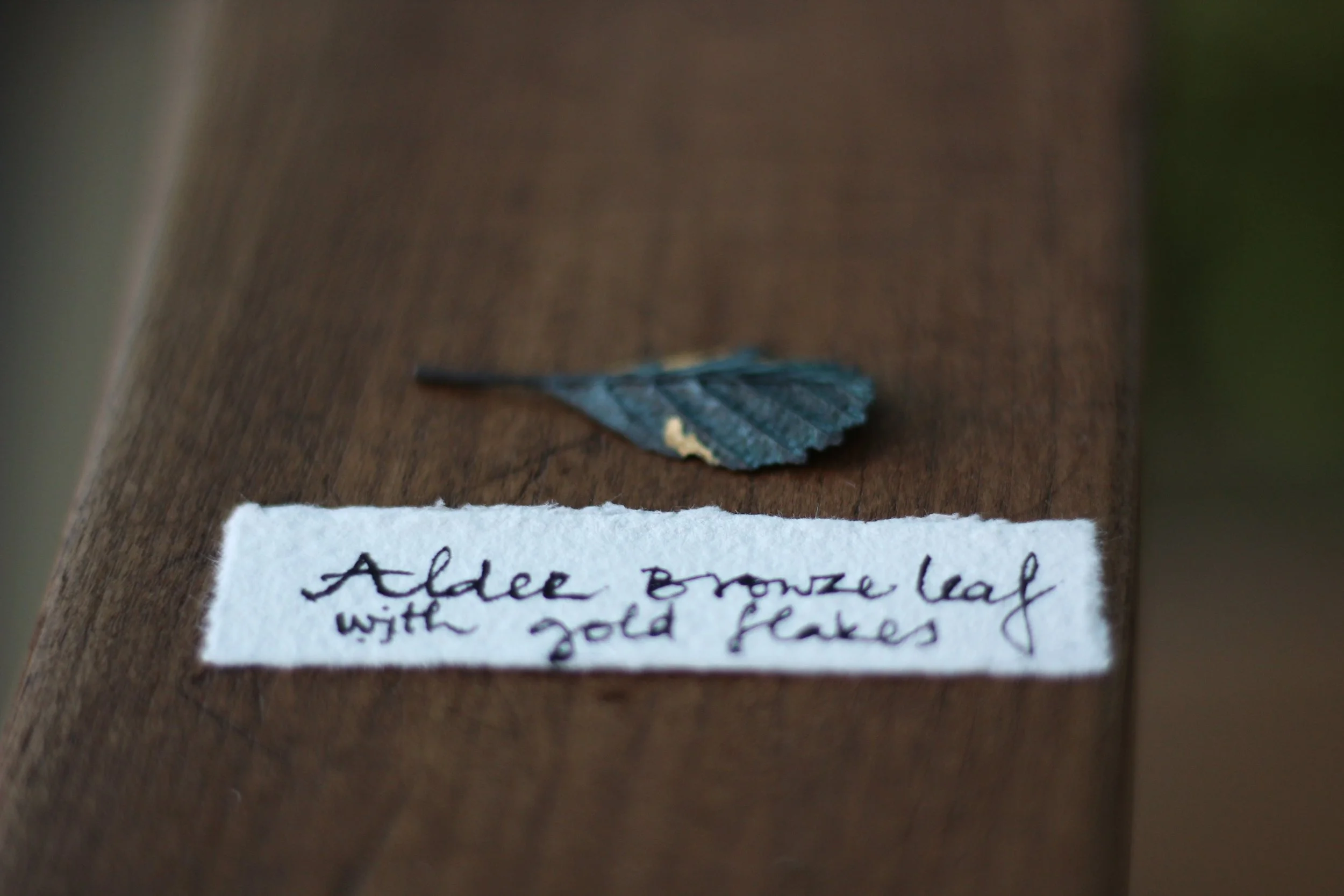 alder-bronze-gold-leaf_01_03.JPG