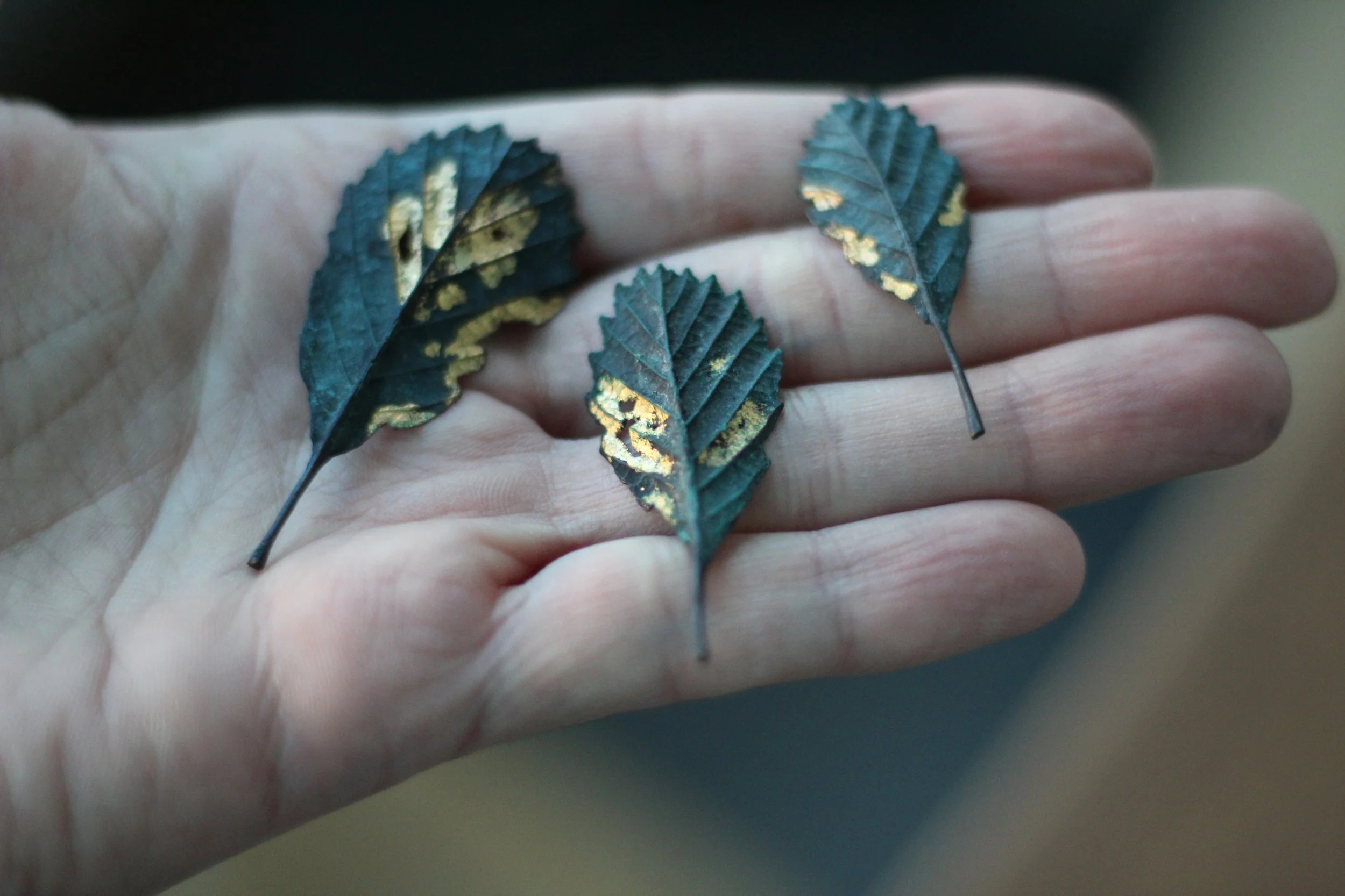 Alder Leaf I