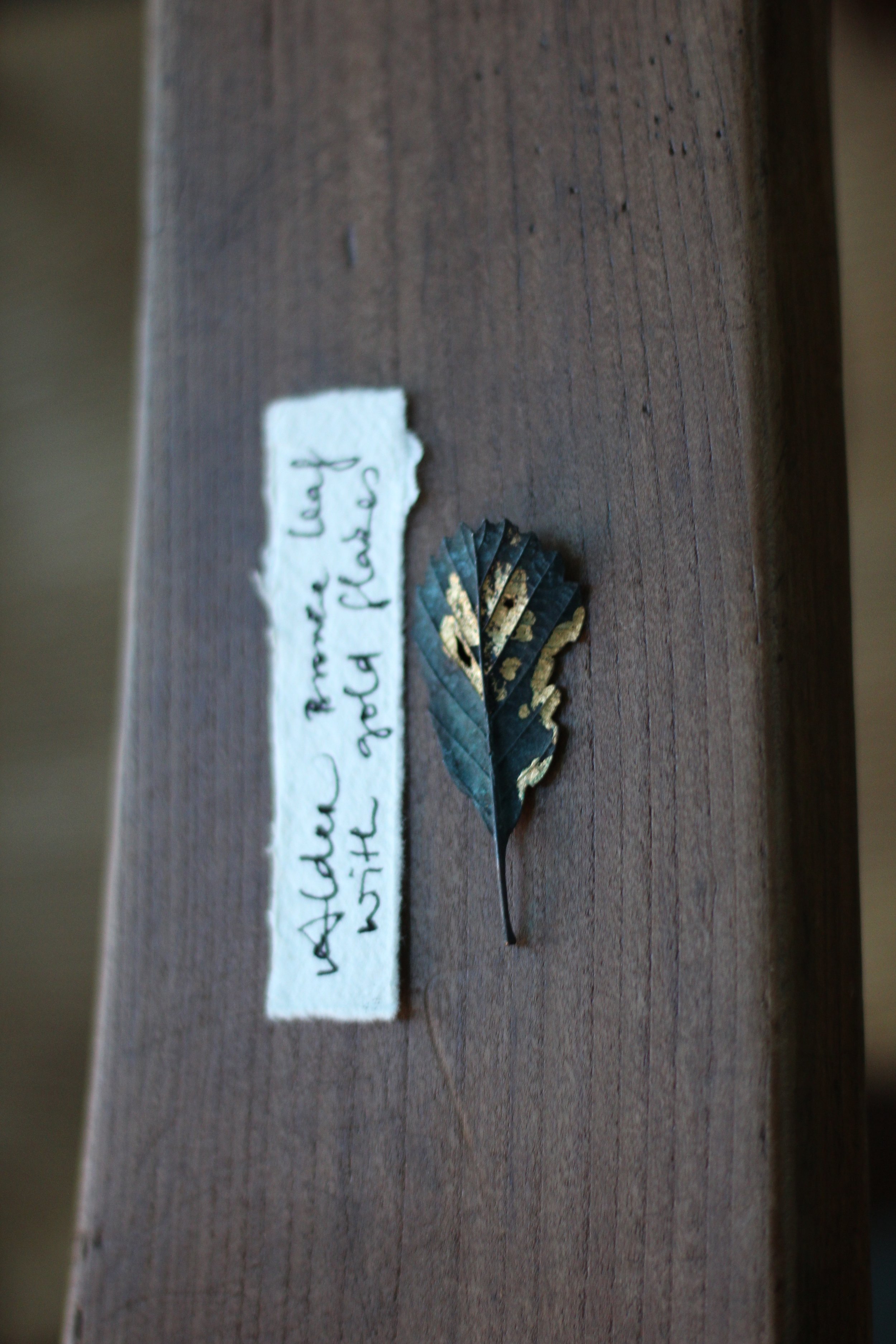 alder-bronze-gold-leaf_02_03.JPG